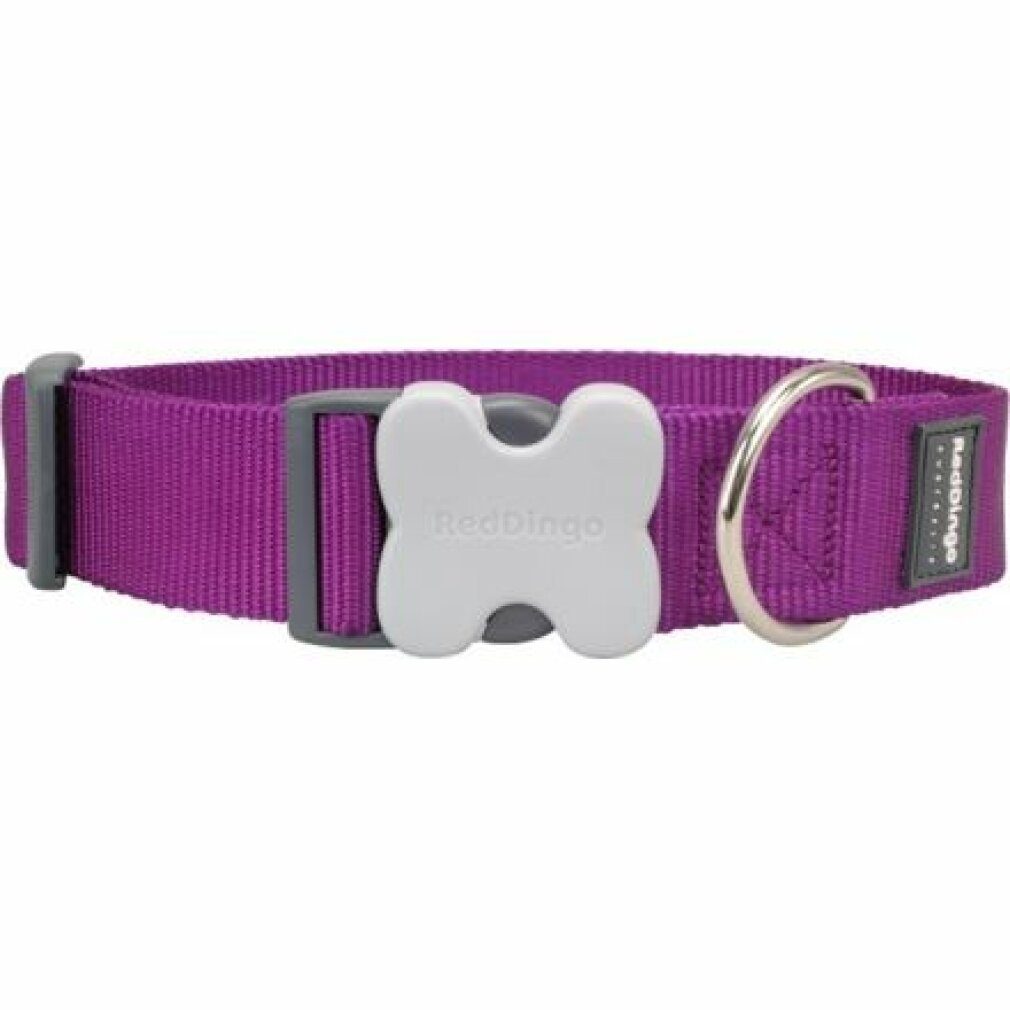 Red Dingo Hunde-Halsband Hundehalsband Lila (4 x 37-55 cm)