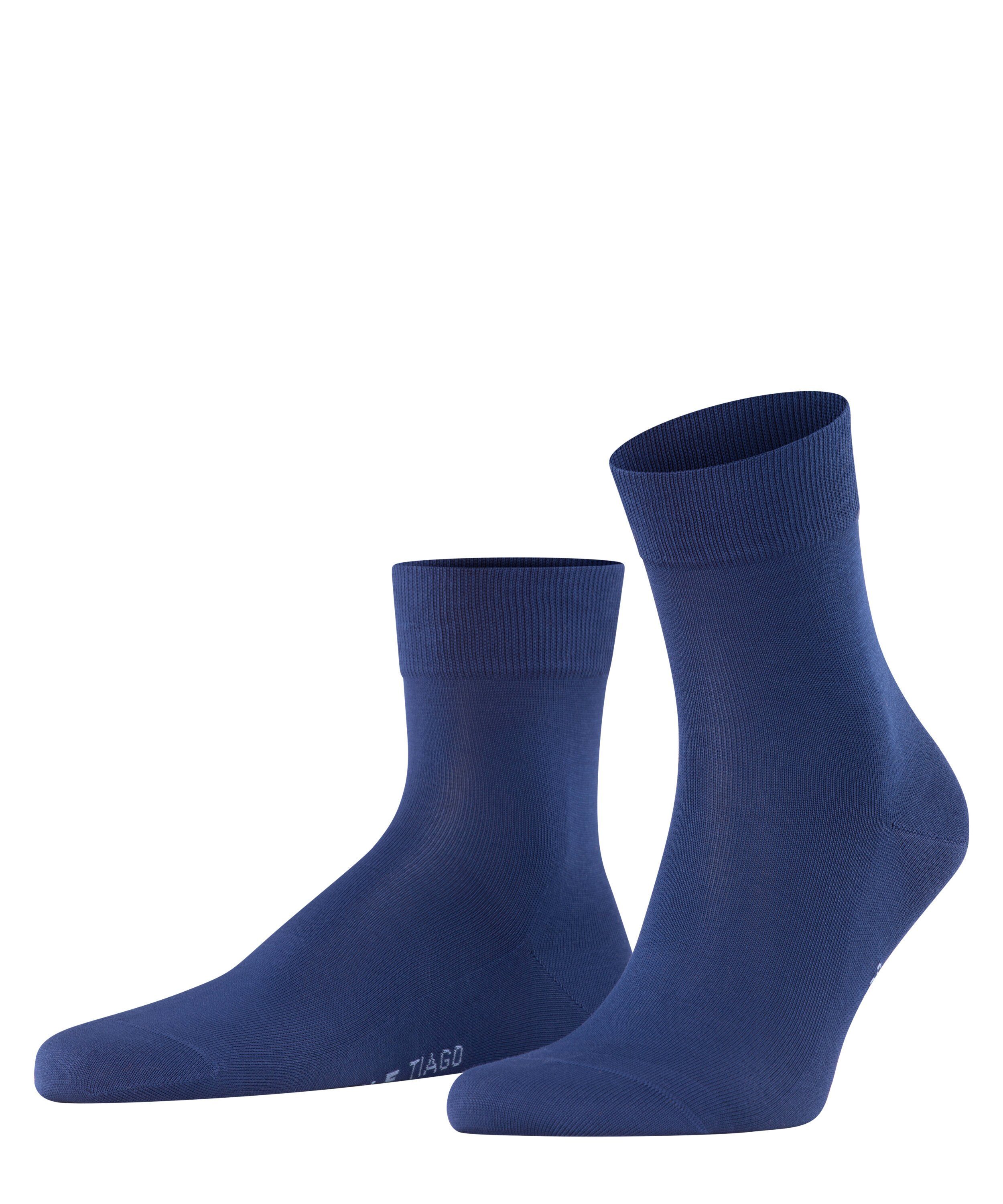 royal blue (6000)