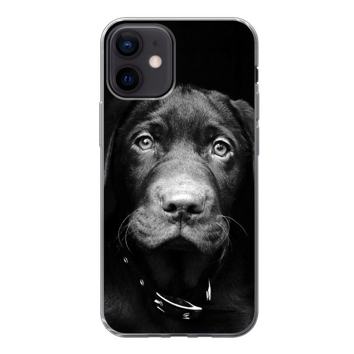 MuchoWow Handyhülle Nahaufnahme Labrador Welpe vor schwarzem Hintergrund in schwarz und Handyhülle Apple iPhone 12 Smartphone-Bumper Print Handy