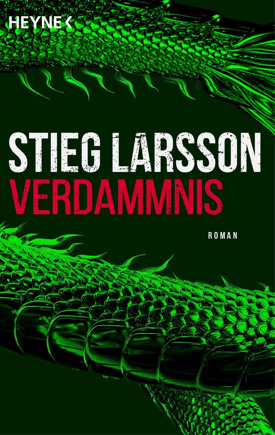 Verdammnis / Stieg Larsson