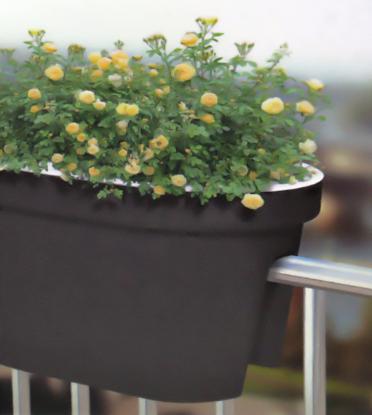 6 ca. (für Bubble-Store Mini-Gewächshaus, Balkongeländer Balkonkasten Blumenkasten, Blumentopf, bis cm Geländerkasten Breite), Balkongeländer max.