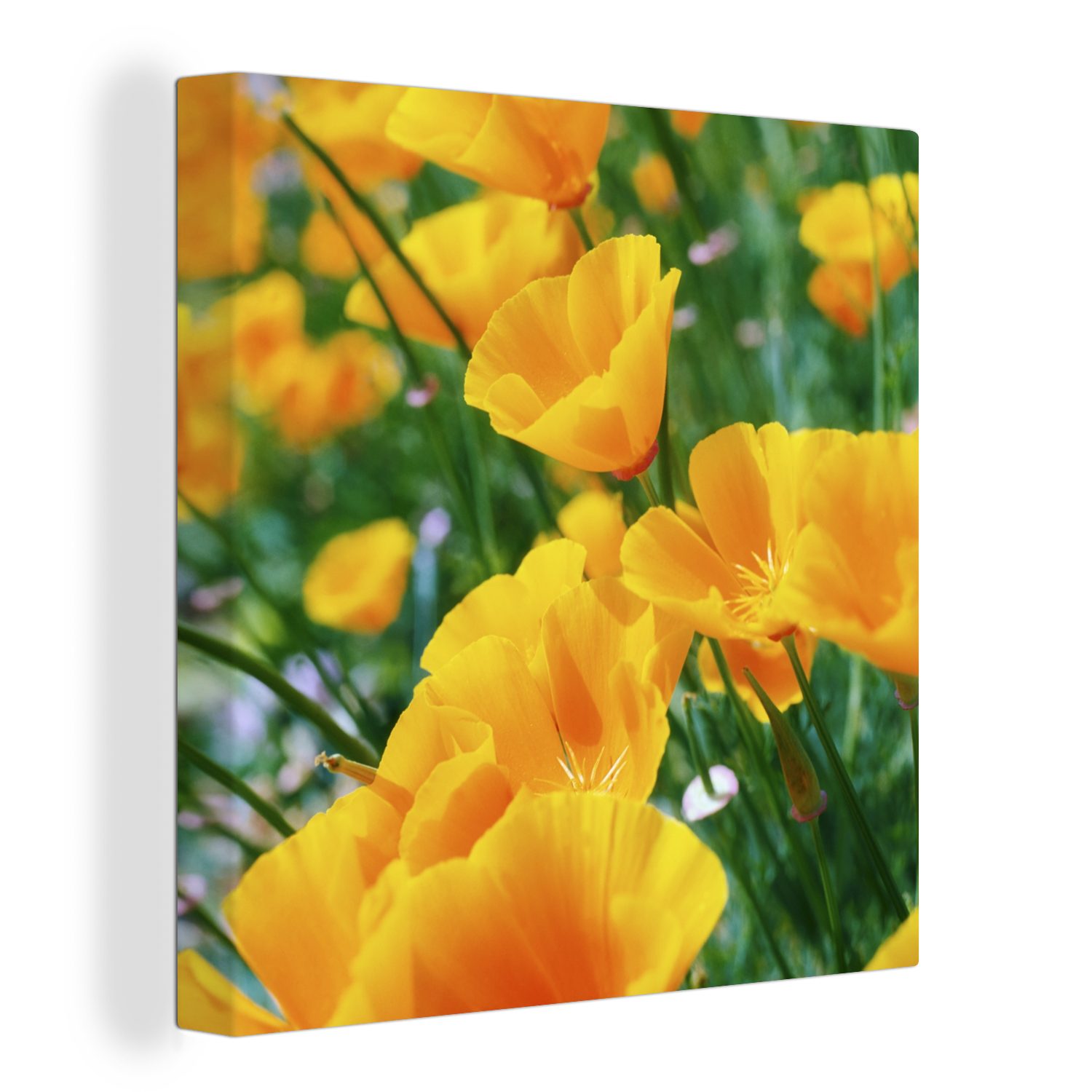 OneMillionCanvasses® Leinwandbild Blumen - Garten - Orange, (1 St), Leinwand Bilder für Wohnzimmer Schlafzimmer bunt