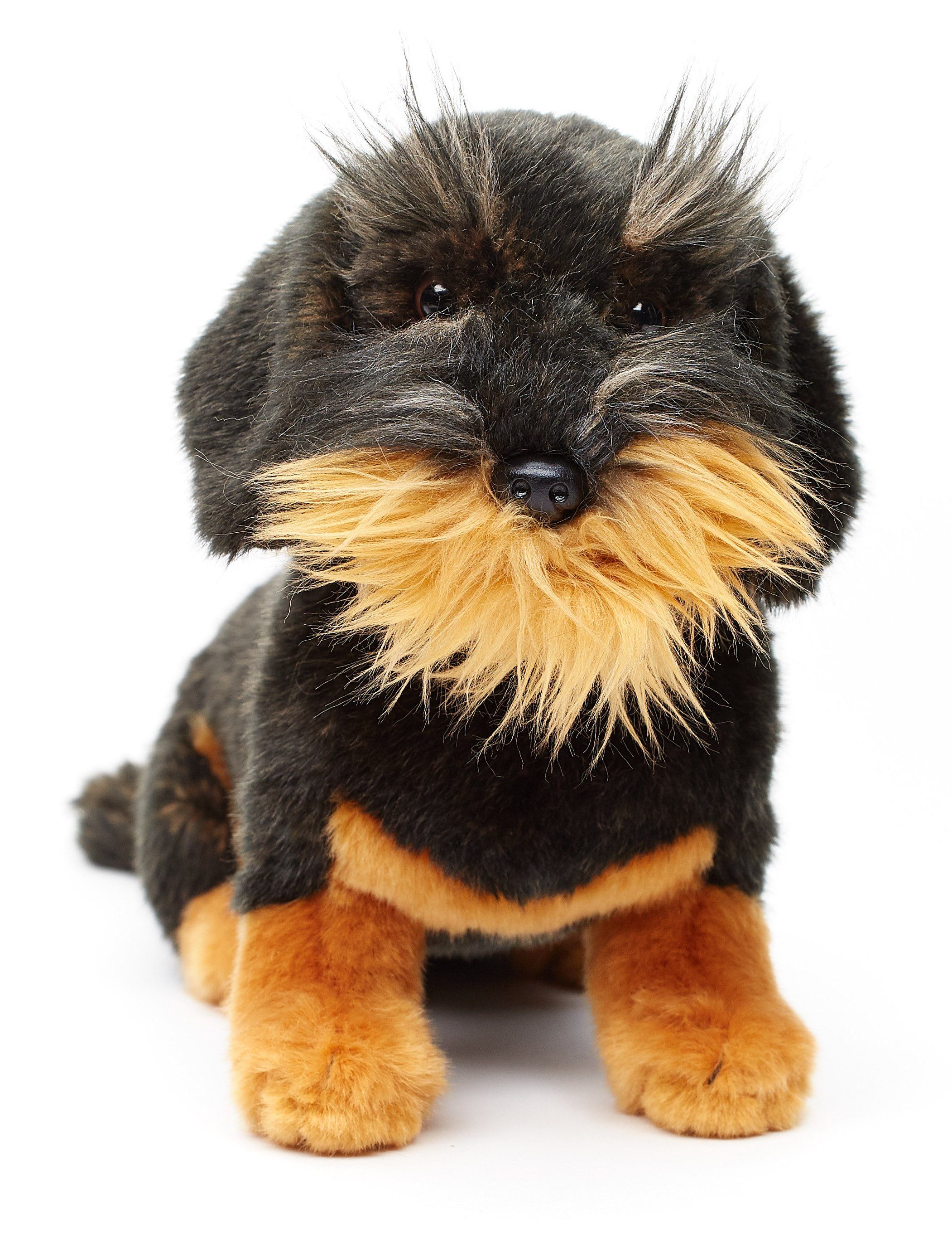 Uni-Toys Kuscheltier Rauhaardackel - m./o. Leine - 24 cm - Plüsch-Hund, Dackel - Plüschtier, zu 100 % recyceltes Füllmaterial