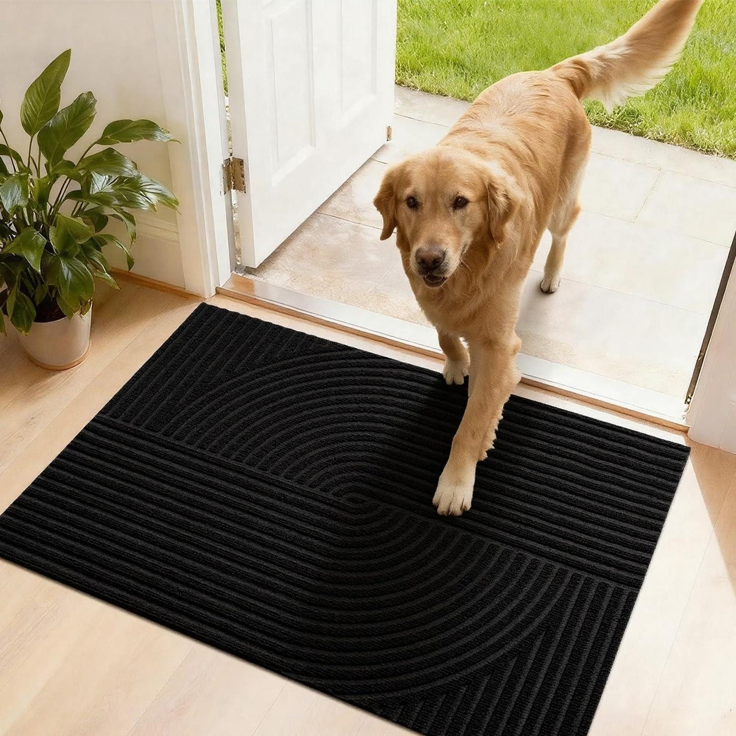LuxusKollektion Fußmatte Fussmatte 50x80cm Schmutzfangmatte, rechteckig, Höhe: 10 mm