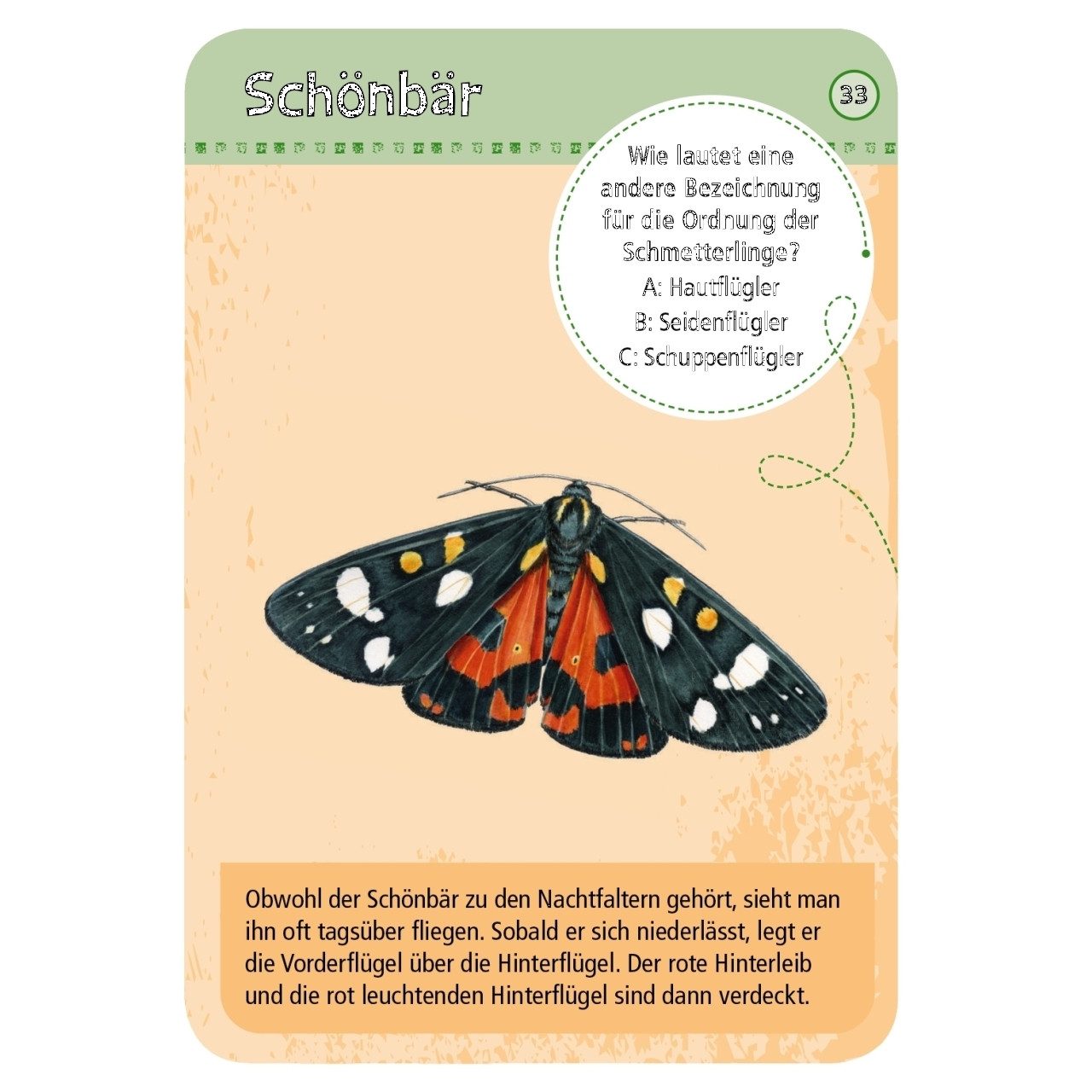 Moses. Verlag Spiel Expedition Natur heimische Schmetterlinge Kartenspiel