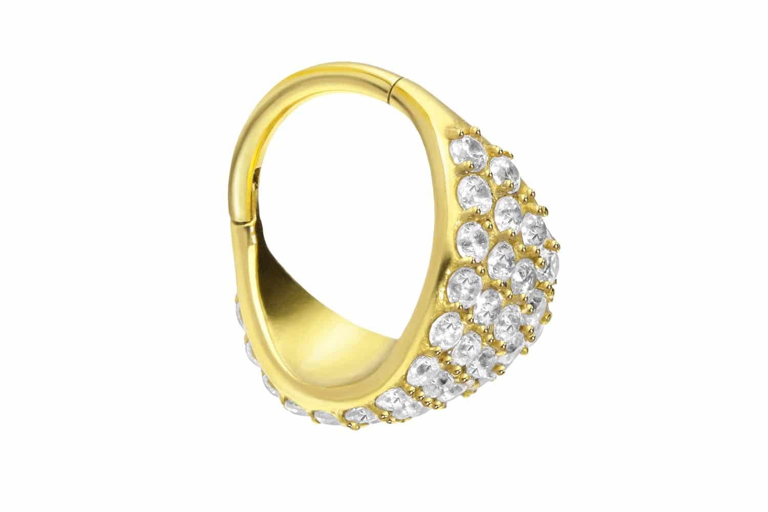 Nasenpiercing Chirurgenstahl Segmentring Clicker EINGEFASSTES KRISTALLSCHILD