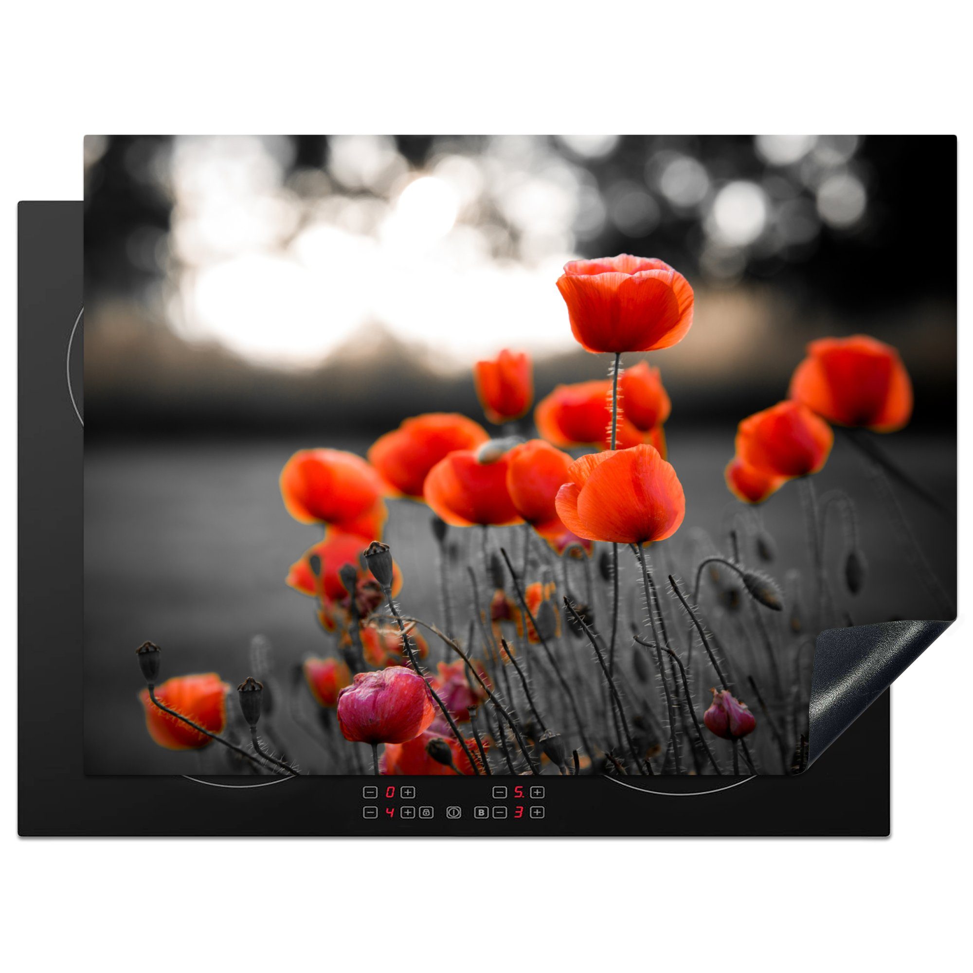 MuchoWow Herdblende-/Abdeckplatte Rote Mohnblumen vor schwarzem und weißem Hintergrund, Vinyl, (1 tlg), 71x52 cm, Induktionskochfeld Schutz für die küche, Ceranfeldabdeckung