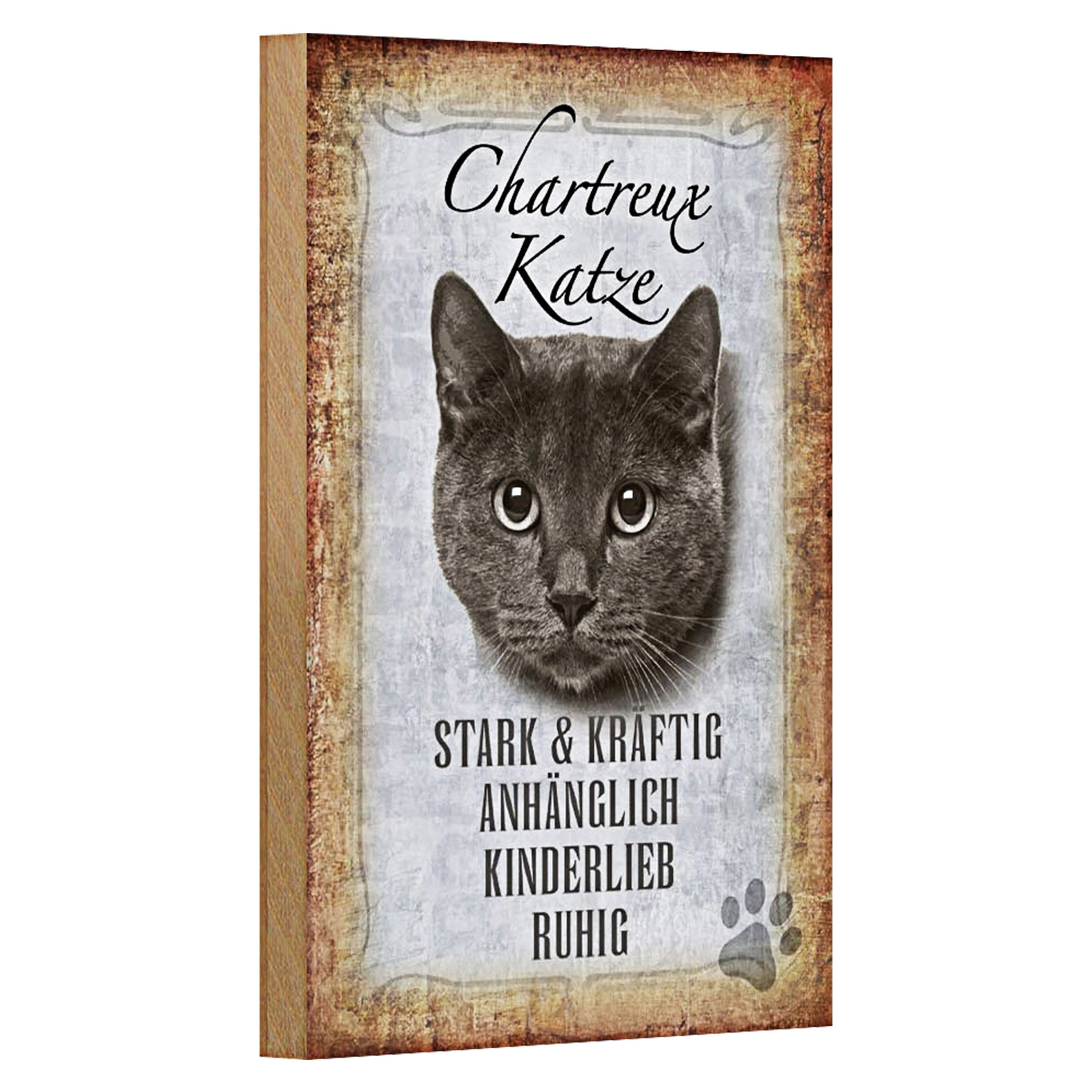 Roomando Holzbild Spruch 12x18cm Chartreux Katze stark