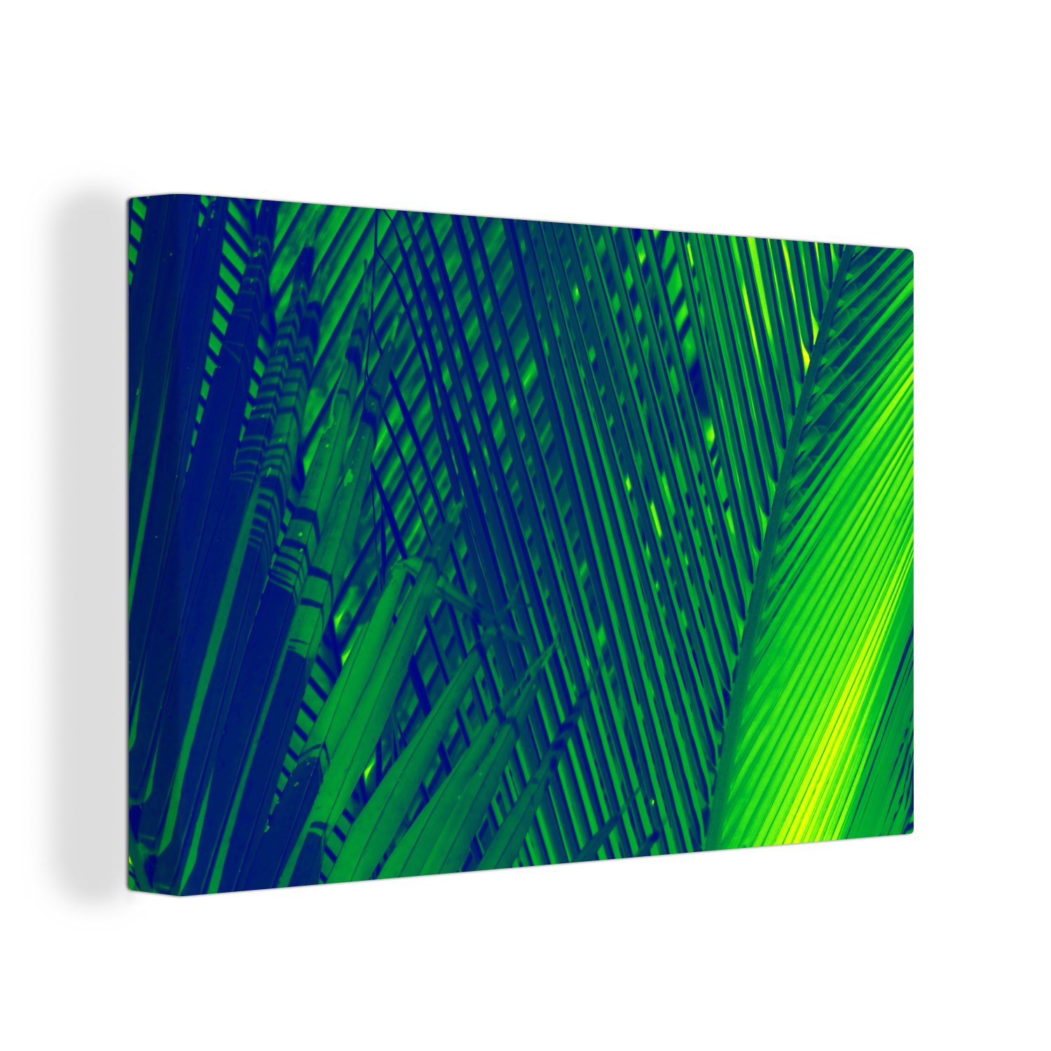 OneMillionCanvasses® in (1 30x20 cm Leinwandbilder, Wanddeko, Wandbild verschiedenen Farben, St), Botanisches Aufhängefertig, Leinwandbild Palmenblatt