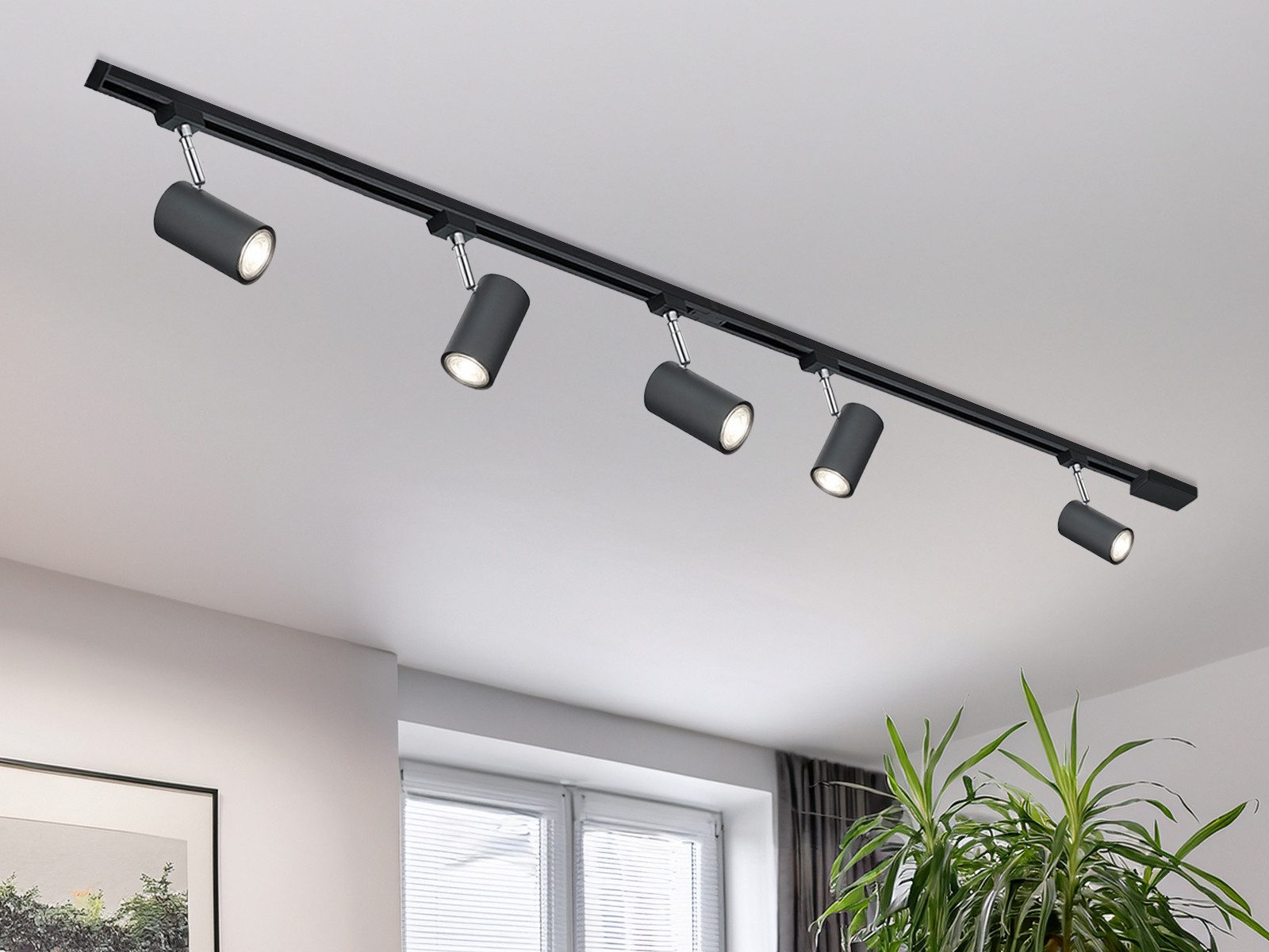 TRIO Leuchten Schienensystem-Sets komplett mit 5 Strahlern, Länge 202,5cm, ohne Leuchtmittel, 2-Phasen Lichtschienensystem für Wand & Decke, Deckenleuchte lang groß