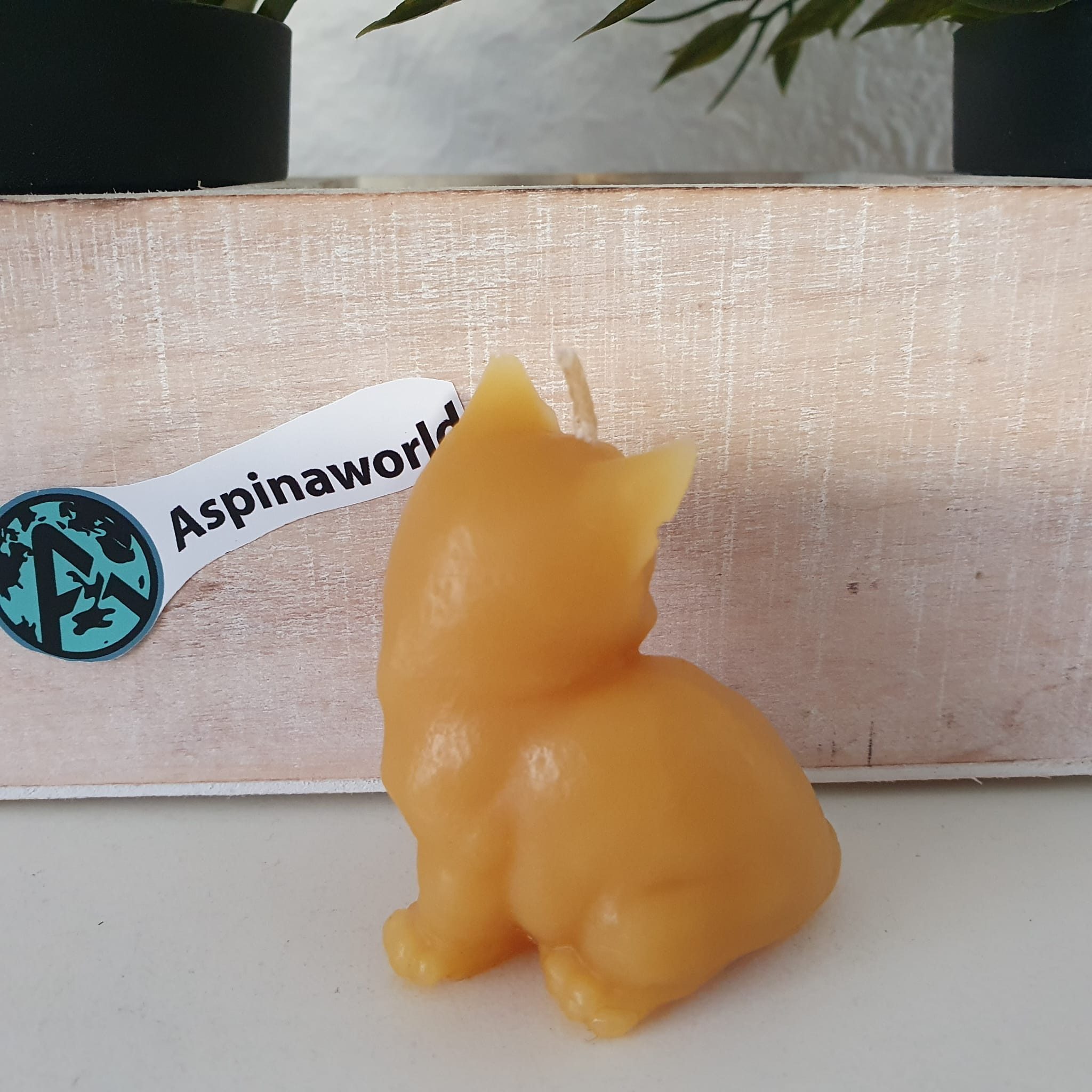 Aspinaworld Bienenwachskerze Katzen Kerze 5,5 cm – Kerze aus Bienenwachs