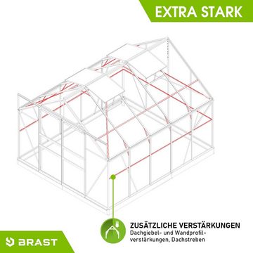 BRAST Gewächshaus ALU mit Fundament rostfrei 310x250x235cm TÜV geprüft, wetterfestes hochwertiges Aluminium