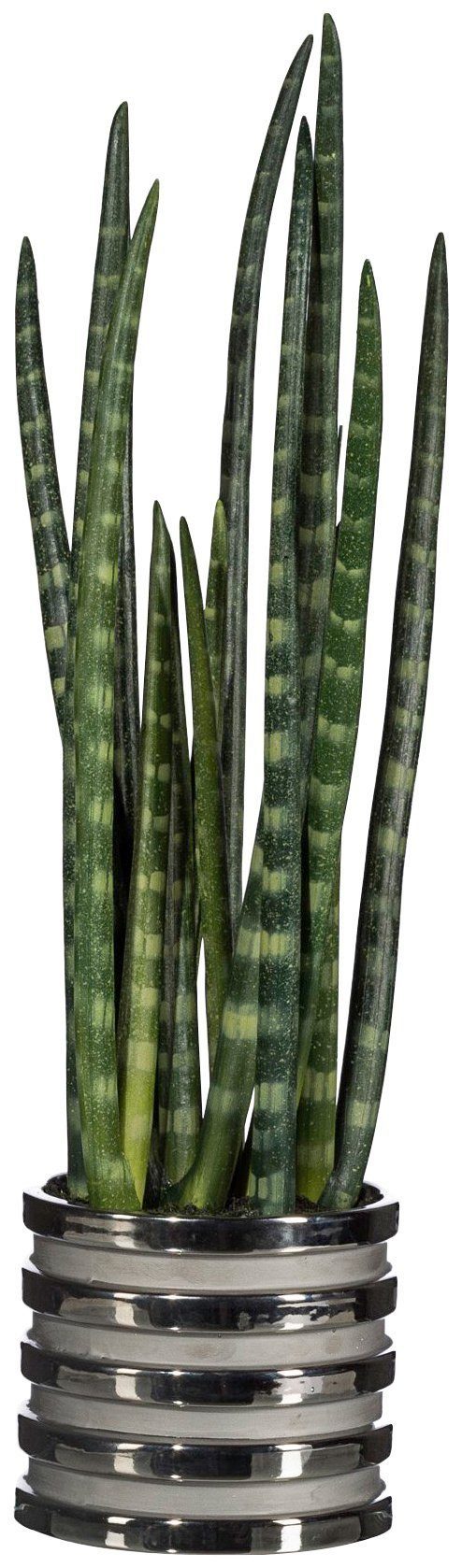 green, Sanseveria, im Kunstpflanze Creativ 18 cm, Keramiktopf Höhe