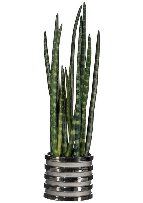 Kunstpflanze Sanseveria Creativ green Höhe 18 cm im Keramiktopf