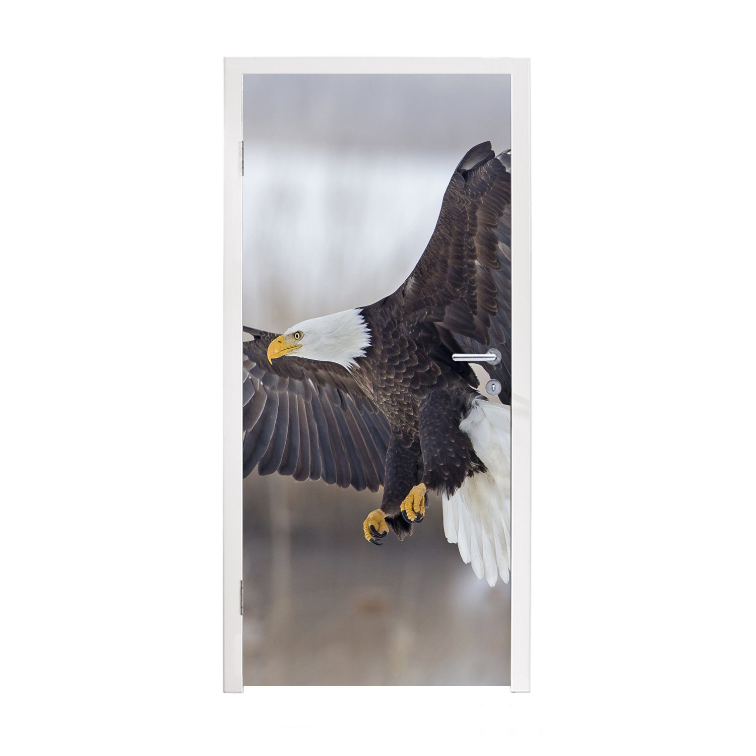 - MuchoWow cm Tür, Seeadler Flügel, St), Türtapete Vogel - für 75x205 (1 Fototapete Matt, bedruckt, Türaufkleber,