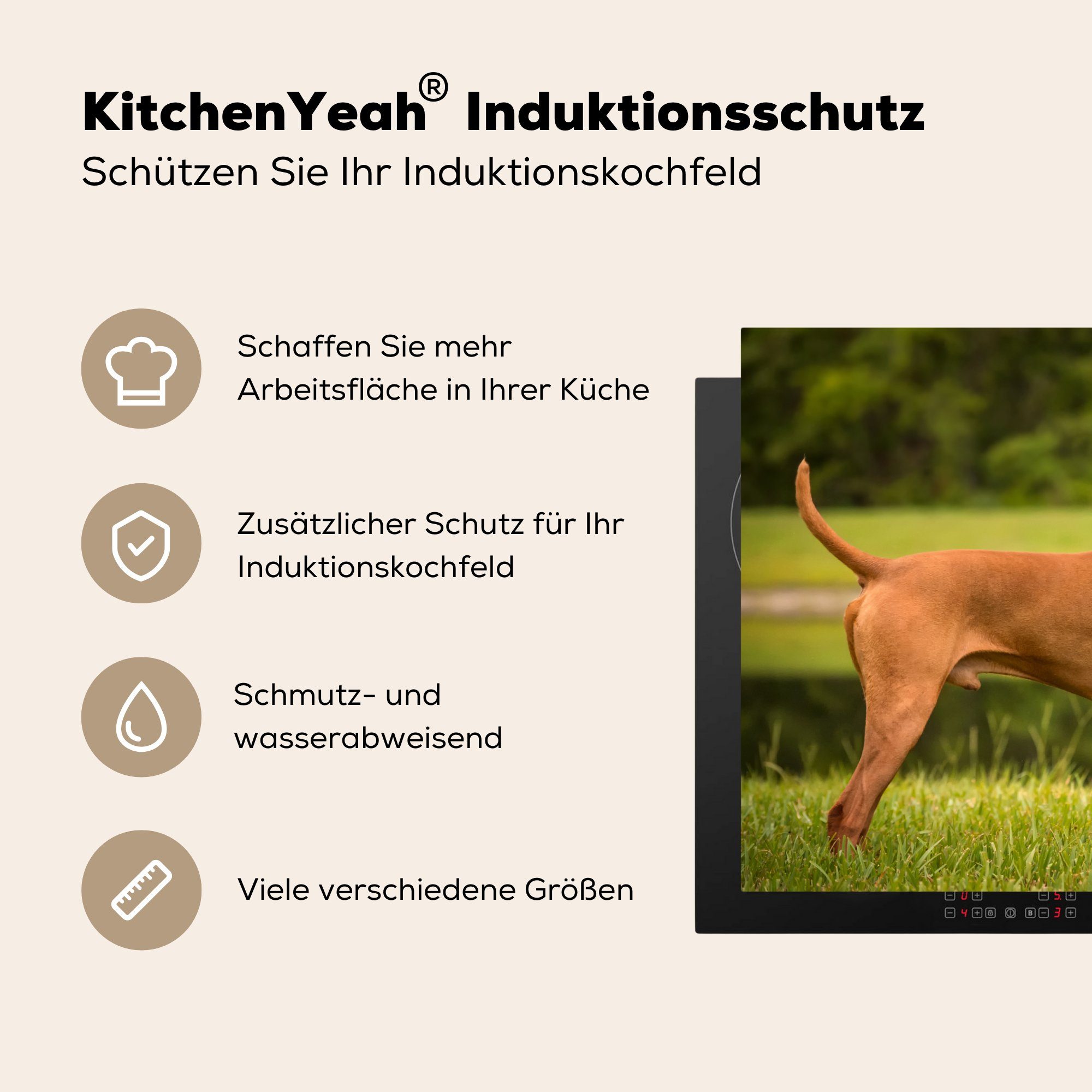 Ceranfeldabdeckung Herdblende-/Abdeckplatte küche, Vinyl, Ein mit erwachsenen cm, Schutz spielt die für Induktionskochfeld einem MuchoWow Hund, (1 tlg), Welpe 81x52