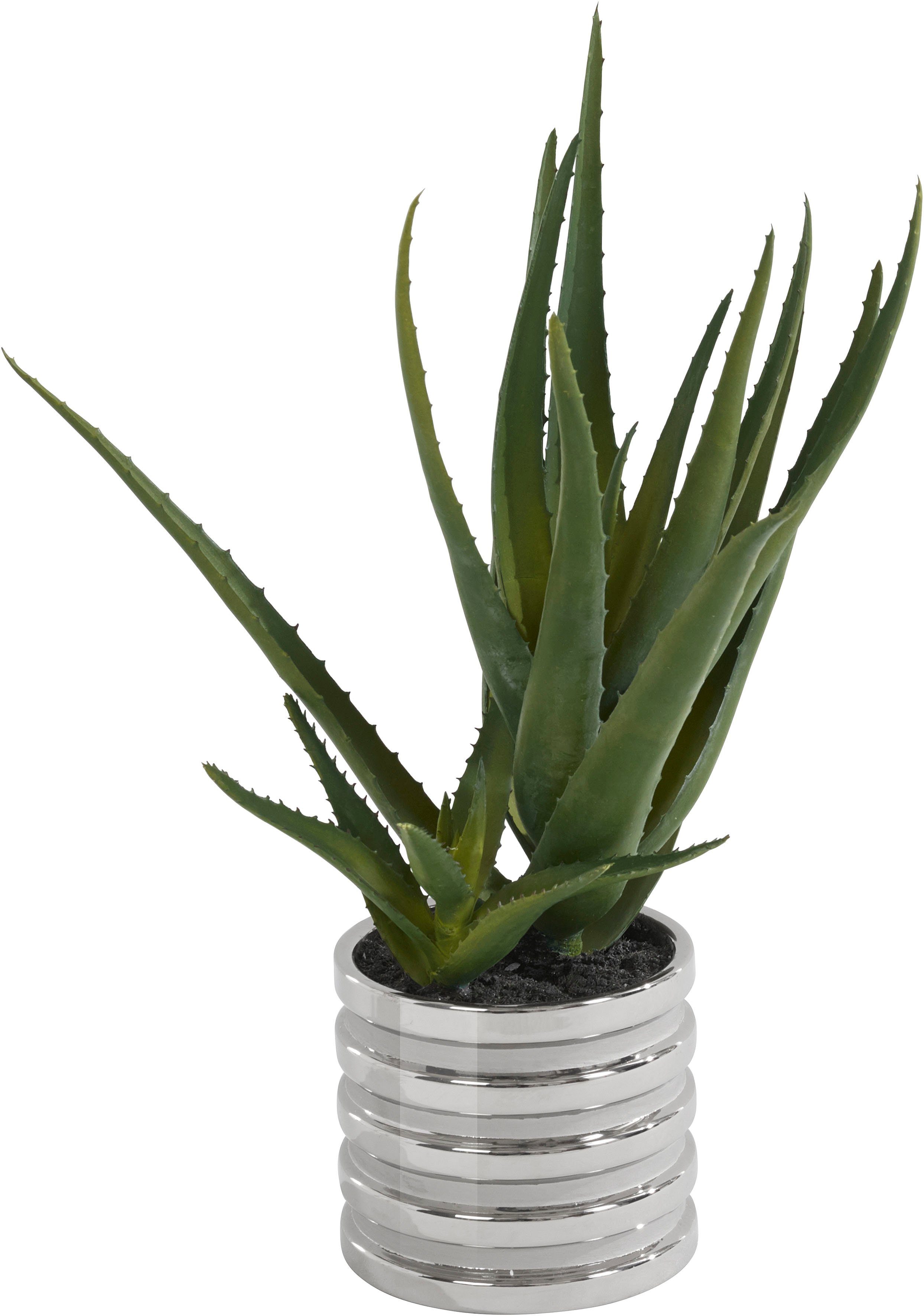 Kunstpflanze Auvergno Aloe, Guido Maria Kretschmer Home&Living, Höhe 40 cm,  Sukkulente, im Topf