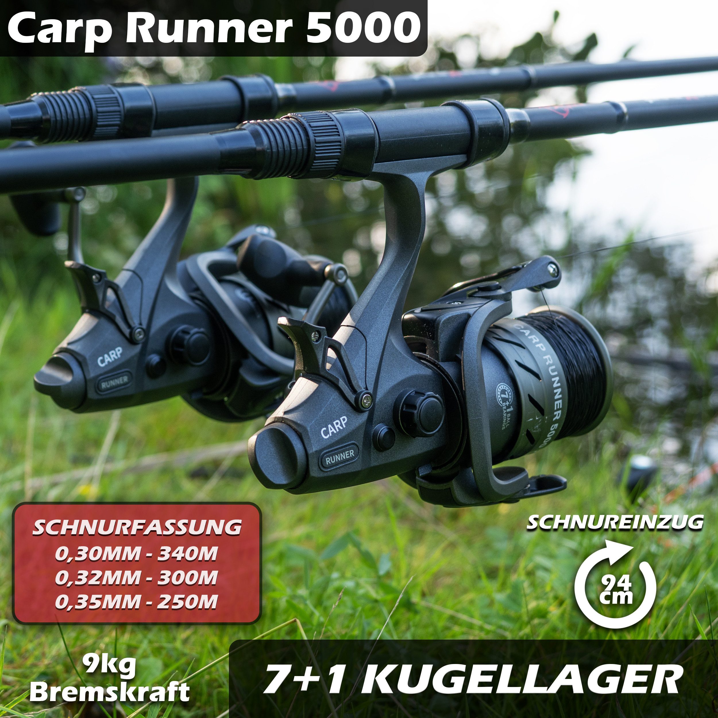 Paradox Fishing Karpfenrute CapXpert 3,60m lbs mit 5000 Carp Runner Freilaufrolle, 12ft