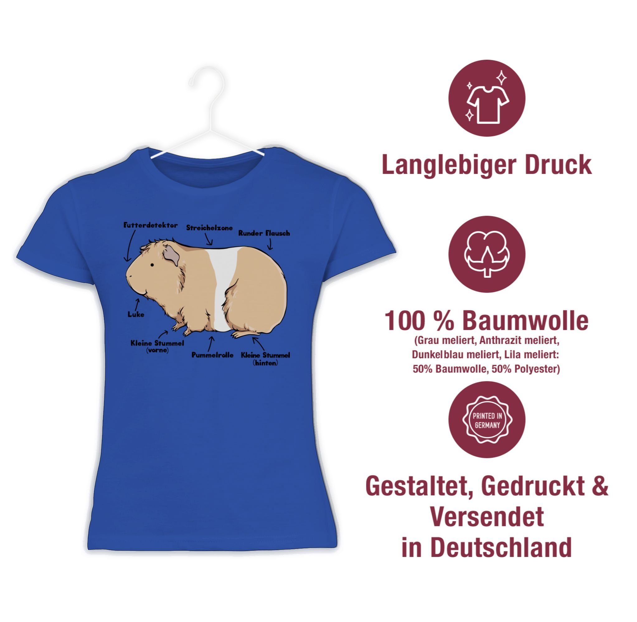 Royalblau 2 Meerschwein Anatomie Shirtracer Animal T-Shirt Print Tiermotiv