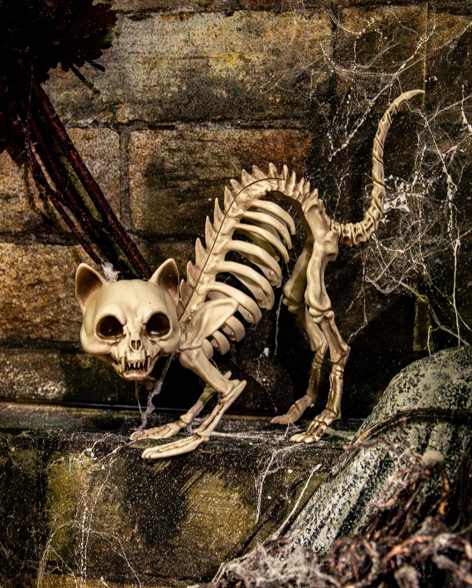 Horror-Shop Dekoobjekt Katzenskelett als Knochengerippe mit Katzenbuckel günstig online kaufen