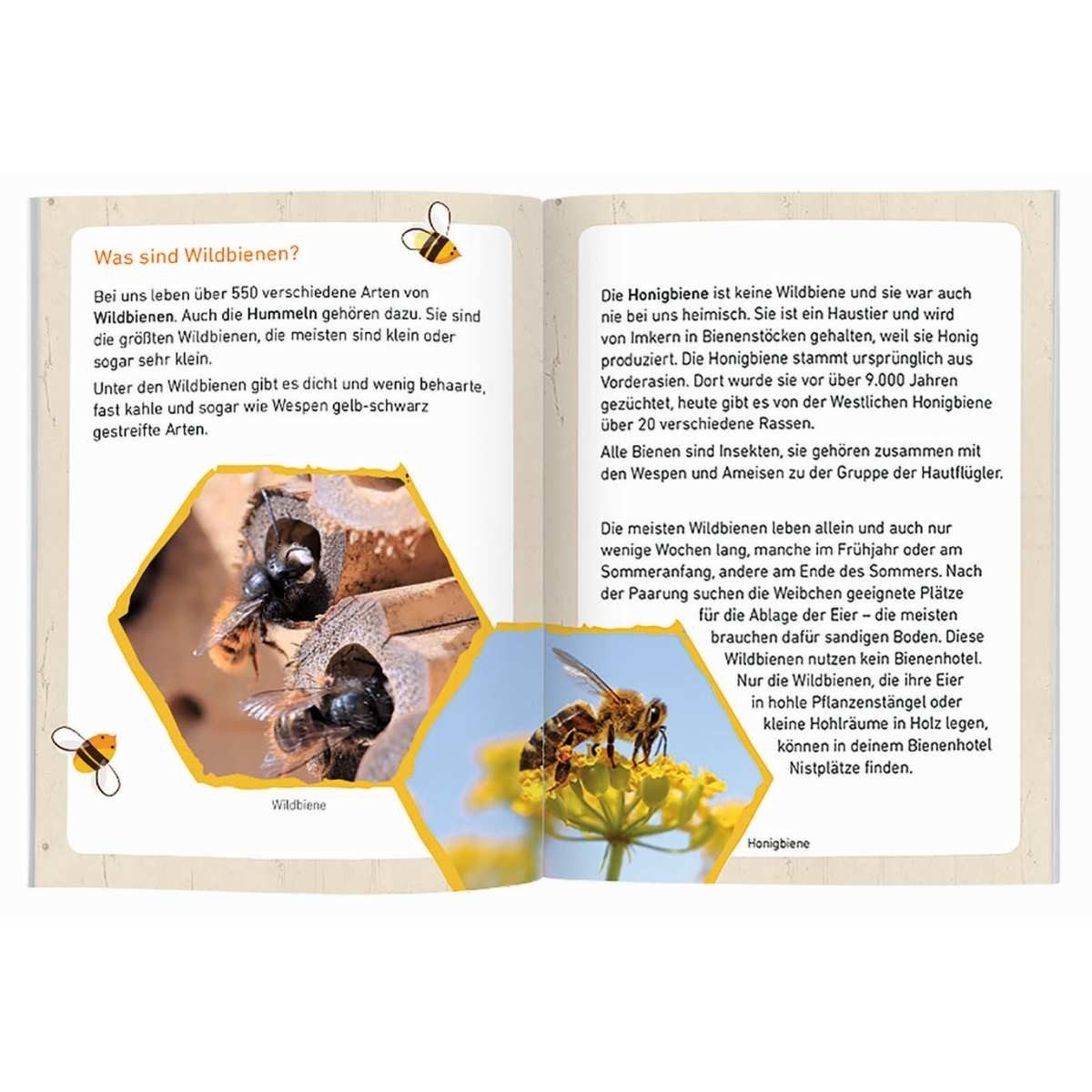 Moses. Verlag Bienenkiste Bienenhotel aus Kiefernholz & Bambus für Wildbienen mit Booklet