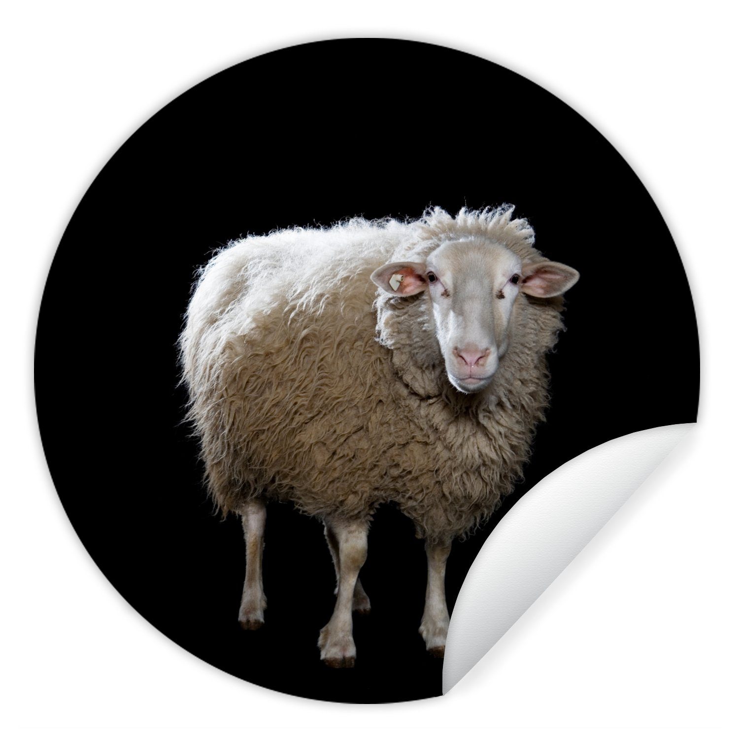 MuchoWow Wandsticker Schafe - Nutztiere - Schwarz (1 St), Tapetenkreis für Kinderzimmer, Tapetenaufkleber, Rund, Wohnzimmer