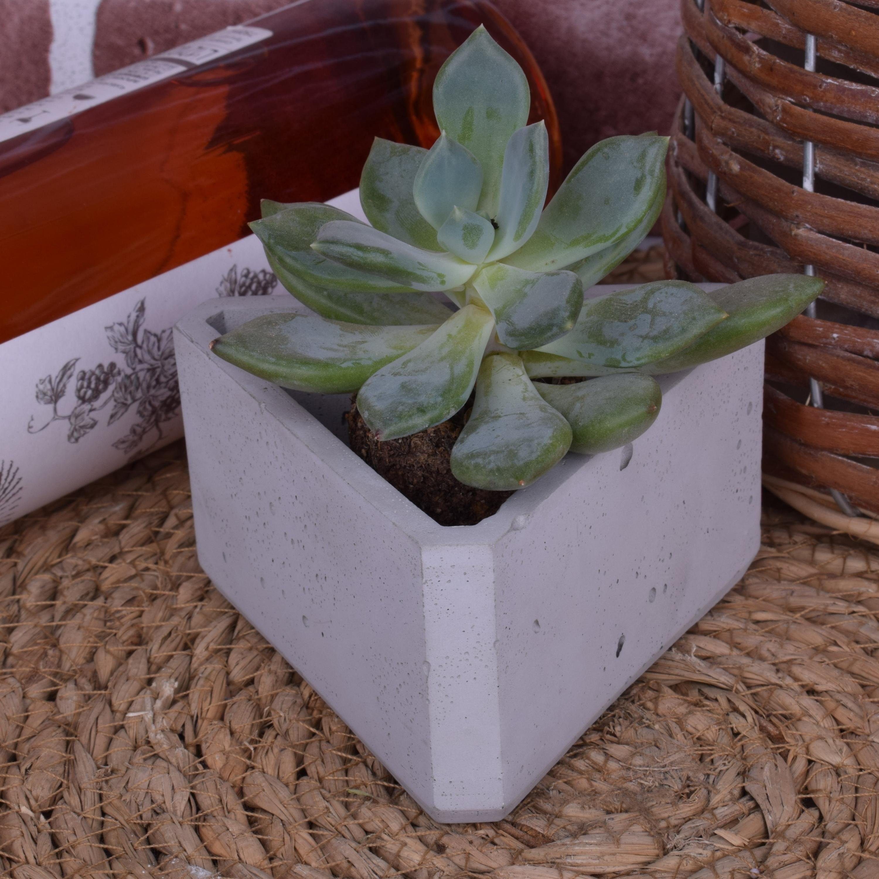 grau Blumentopf dreieckig aus Design TIVENDIS Dekoschale "Stacy" Beton