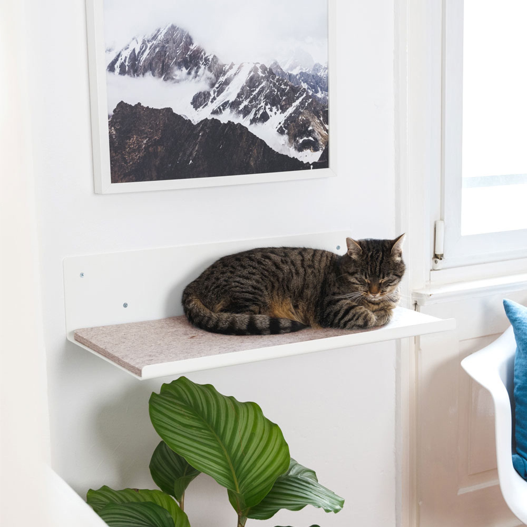 LucyBalu Katzenliege STRAIGHT mit Auflage aus Wolle