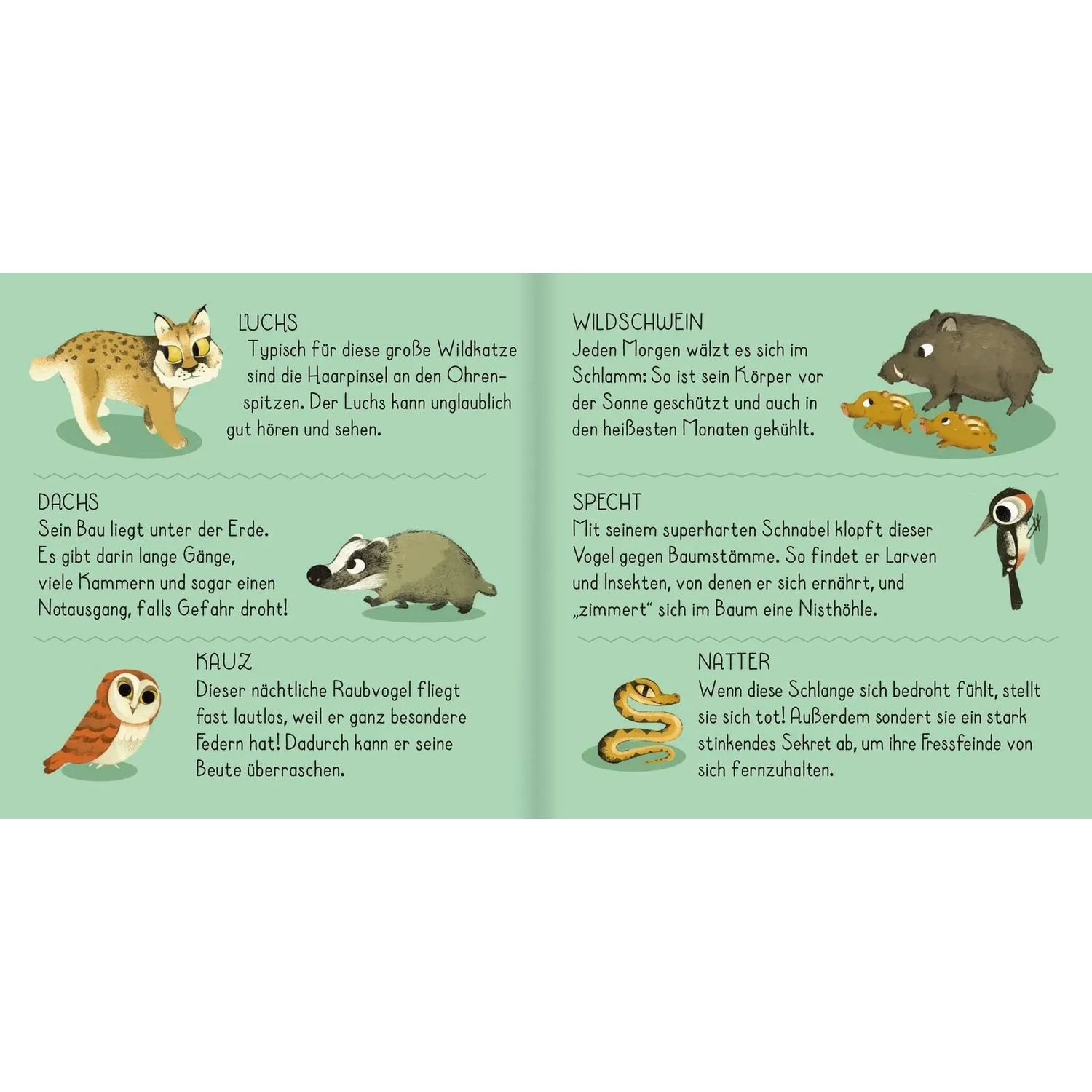 Puzzle Meine erste Puzzle-Box. Der Wald, 36 Puzzleteile