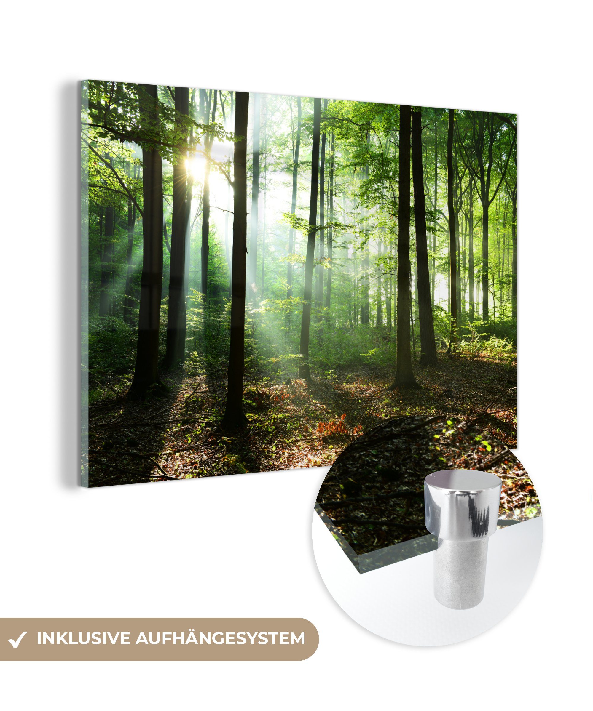 MuchoWow Acrylglasbild Wald - Sonne - Laub, (1 St), Acrylglasbilder Wohnzimmer & Schlafzimmer