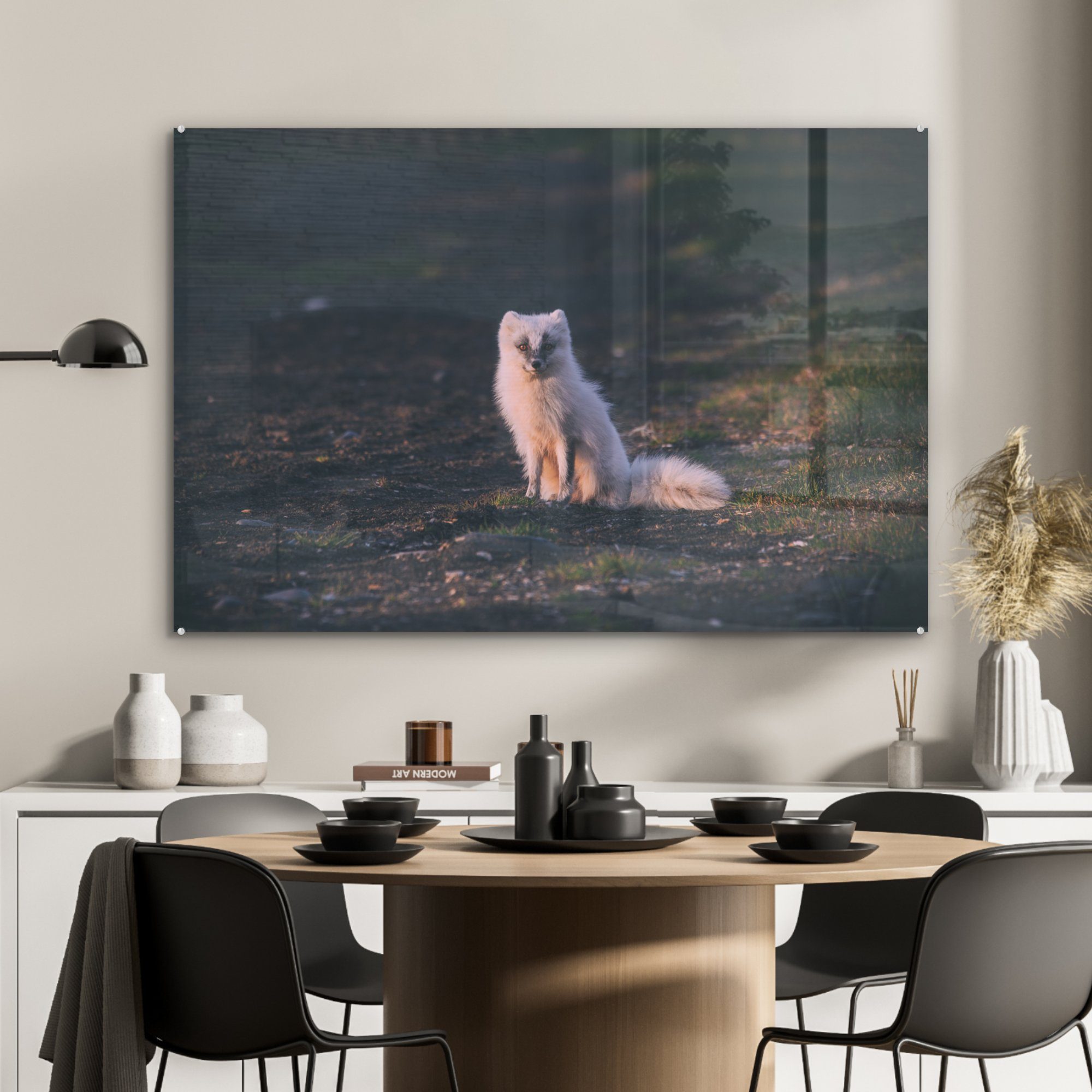 MuchoWow Acrylglasbild Fuchs - - Wohnzimmer Weiß Schlafzimmer & Kröte, Acrylglasbilder St), (1