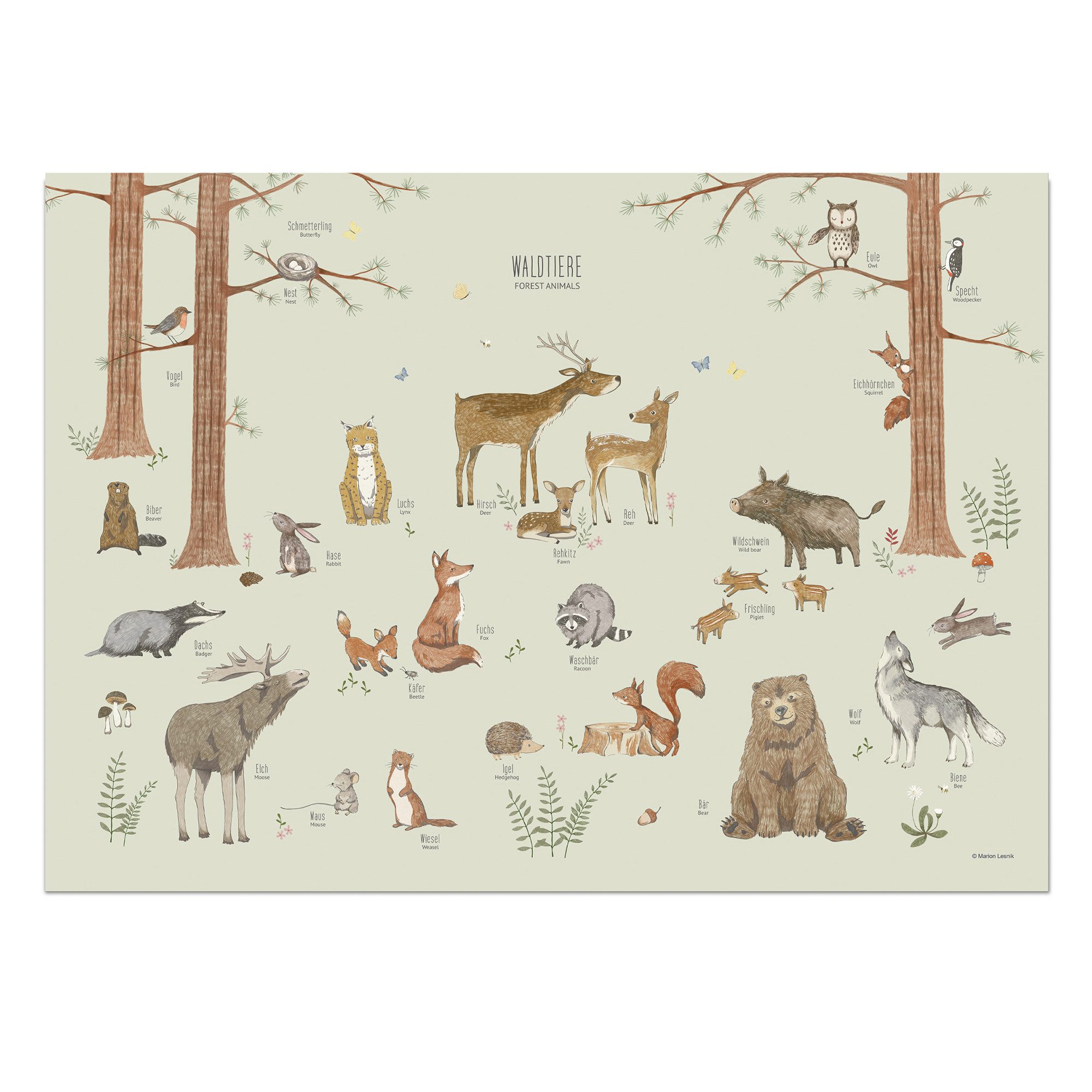 scriptum Poster Waldtiere Poster Kinder - Lernposter Grün Kinderzimmer 50x70 cm, (1 St), Made in Germany
