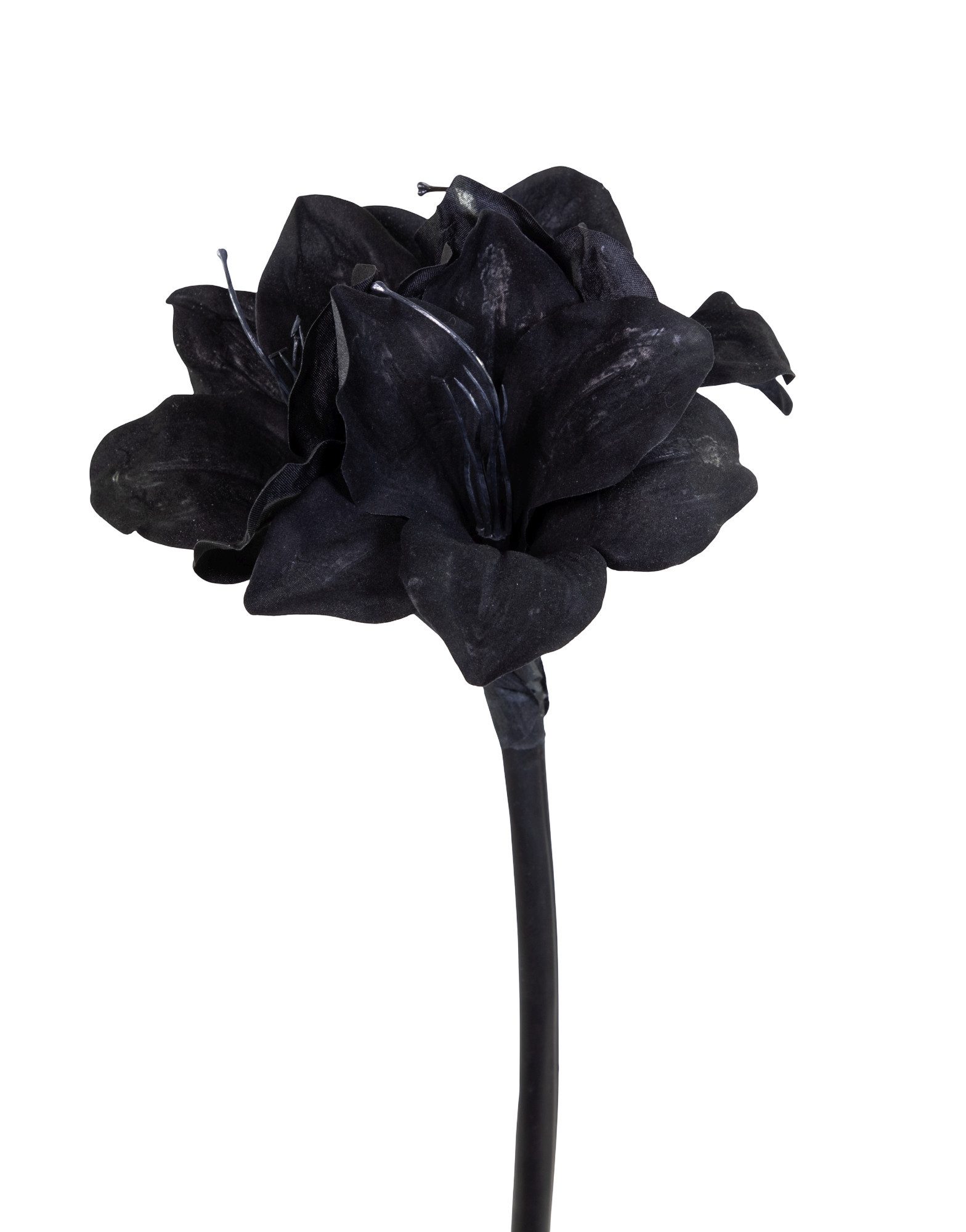 Kunstblume Amaryllis 50cm schwarz GA Dekoblumen günstig online kaufen