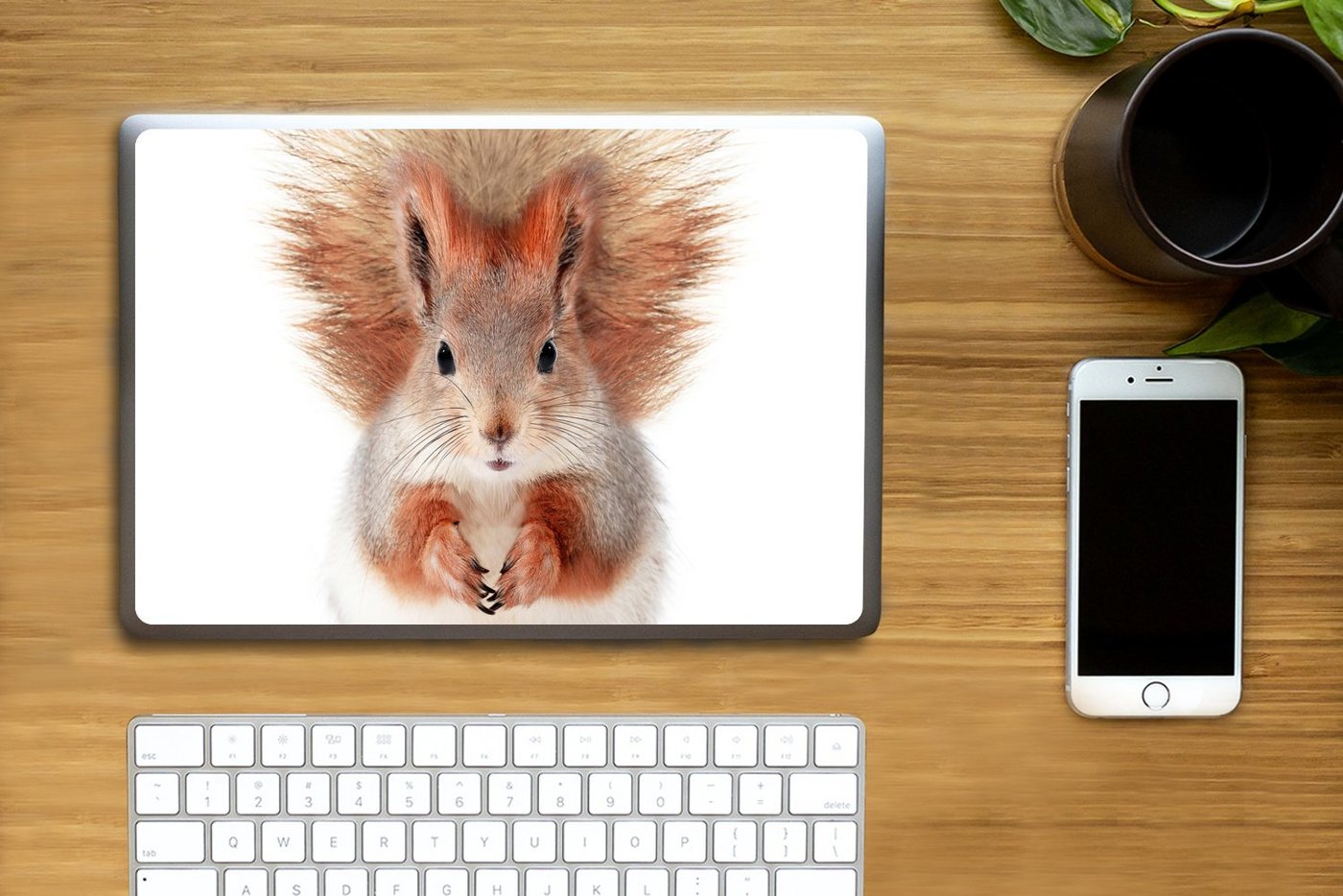 Thumbnail - MuchoWow Laptop-Aufkleber Eichhörnchen - Tiere - Natur - Orange - Weiß, (1tlg), Laptop Folien Cover, Aufkleber, Sticker,...