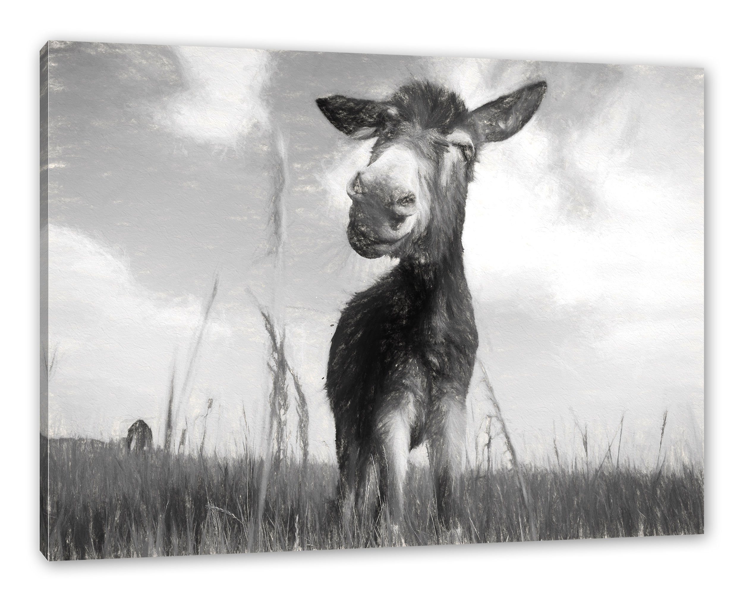 Pixxprint Leinwandbild Esel im Feld, im Feld St), fertig inkl. Zackenaufhänger Leinwandbild bespannt, (1 Esel