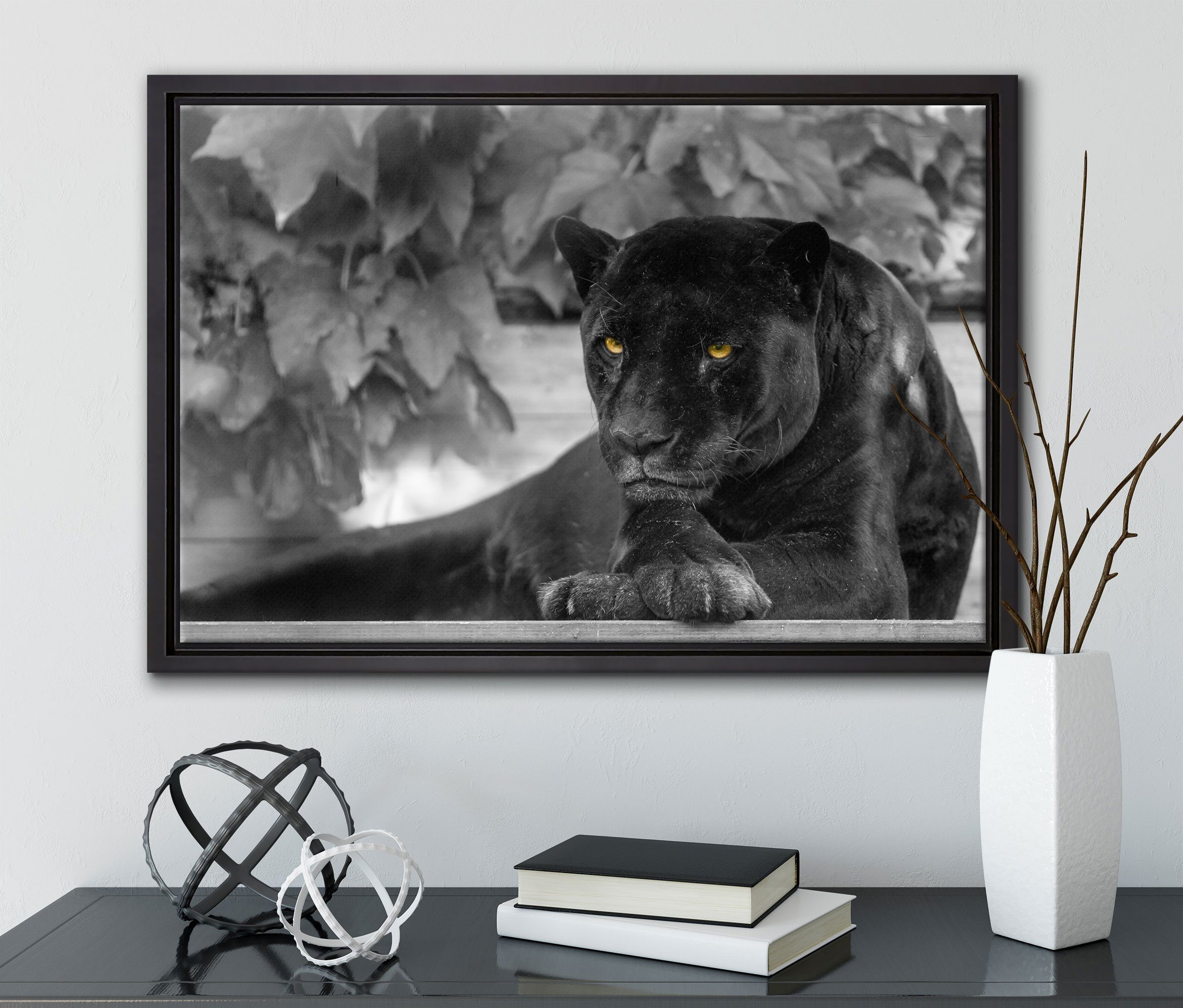Panther, Schattenfugen-Bilderrahmen schwarzer in St), (1 Wanddekoration schöner Leinwandbild fertig Pixxprint Leinwandbild gefasst, bespannt, inkl. Zackenaufhänger einem