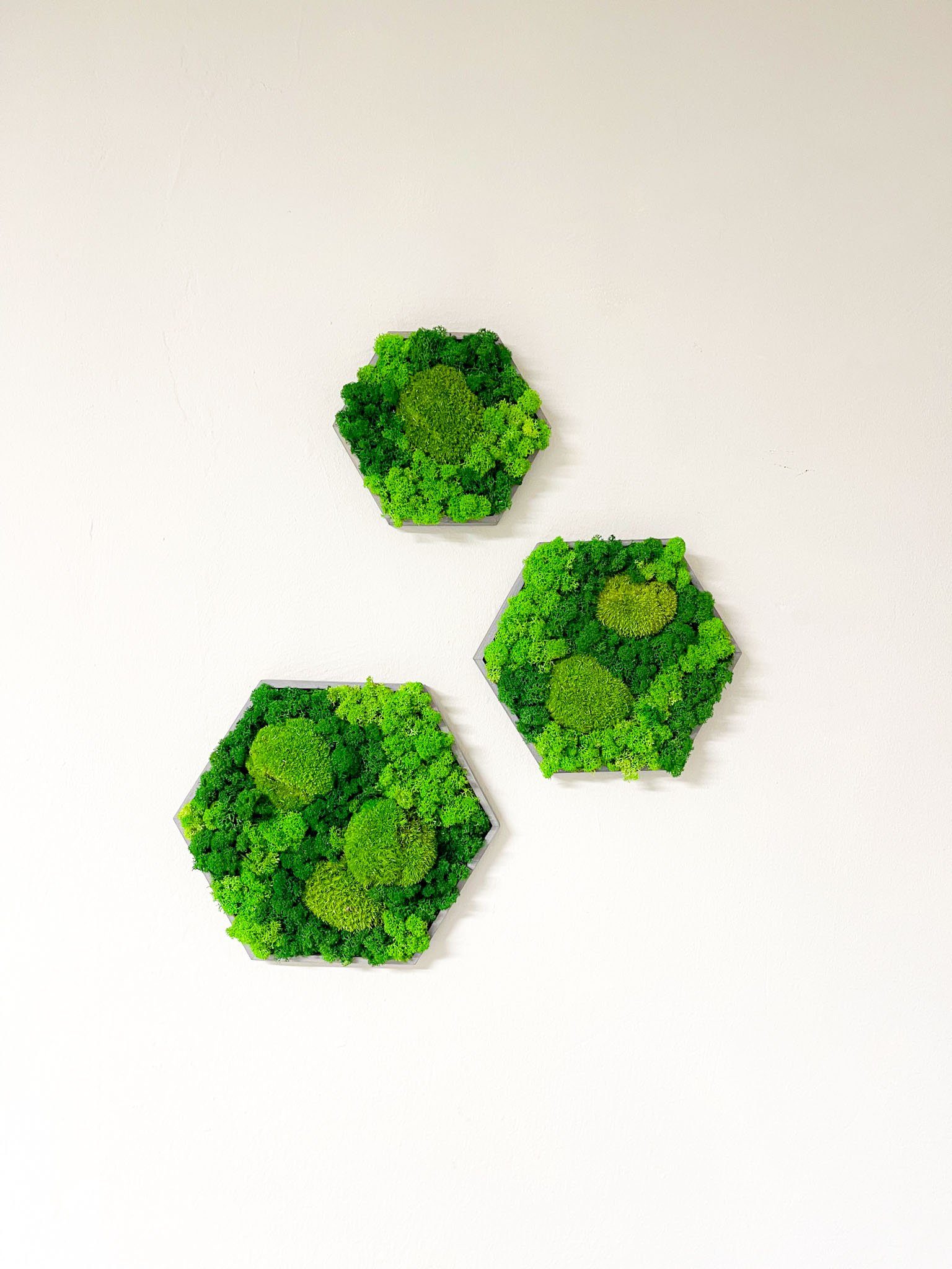 Gedankenwunder Manufaktur Wandbild Moosbild Kombi Islandmoos & Ballenmoos Hexagon Holz Rahmen