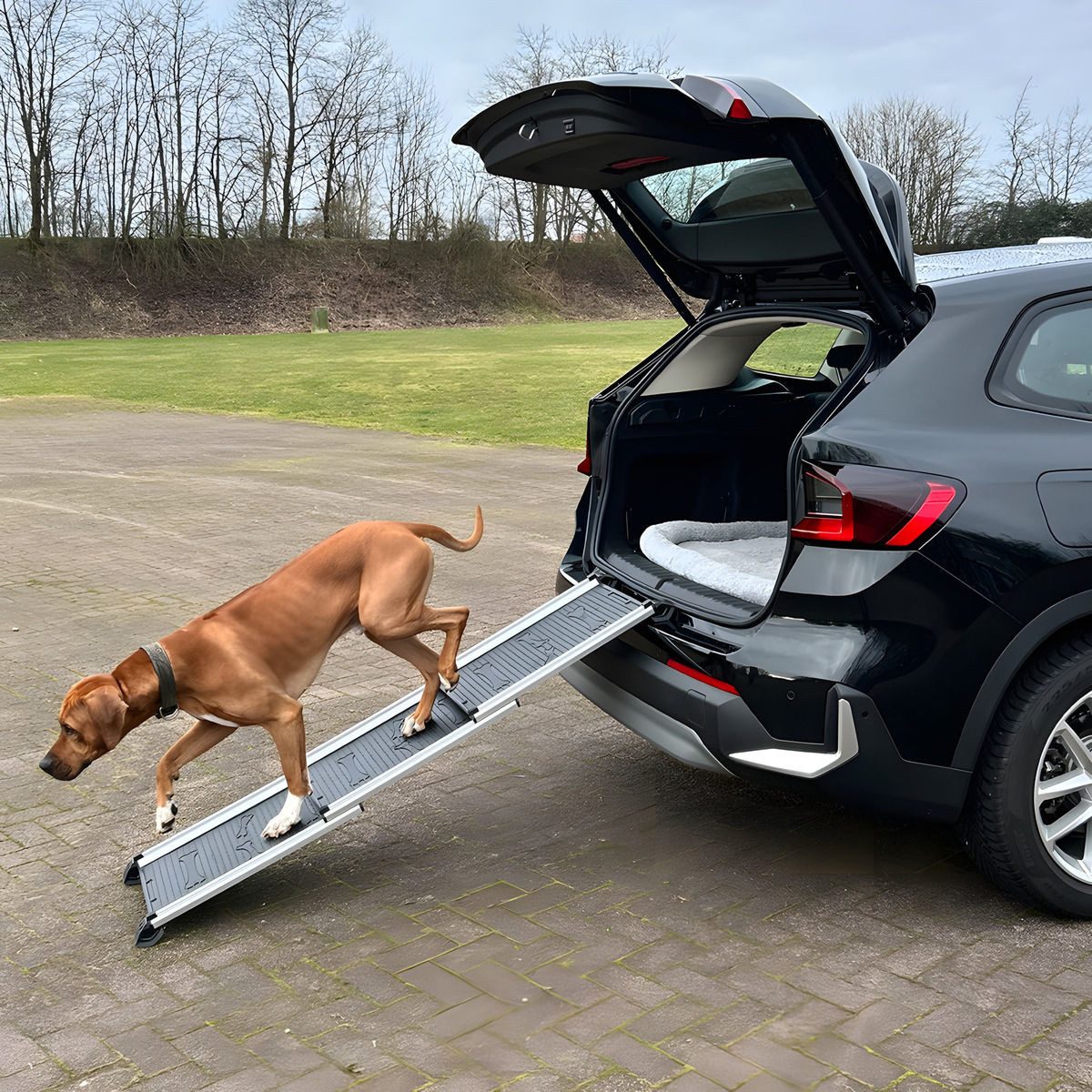 Nobby Hunderampe Aluminium Teleskop-Rampe