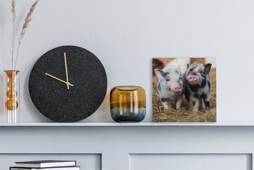 OneMillionCanvasses® Leinwandbild Schwein - Tiere - Ferkel, (1 St), Leinwand Bilder für Wohnzimmer Schlafzimmer