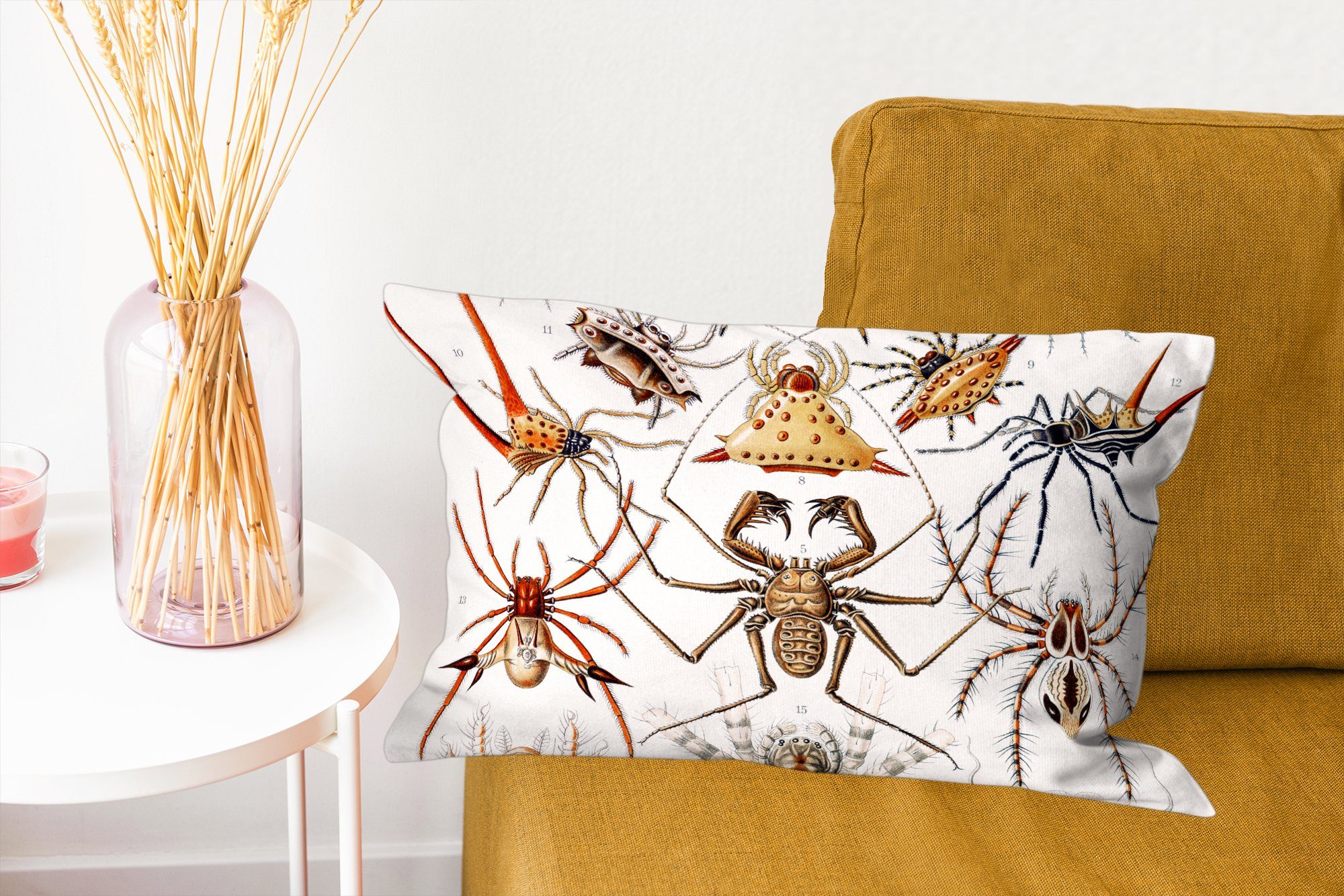 MuchoWow Dekokissen Retro - Spinne Ernst Haeckel - Dekoration, Wohzimmer Spinnen, Zierkissen, Dekokissen Füllung, mit Schlafzimmer 