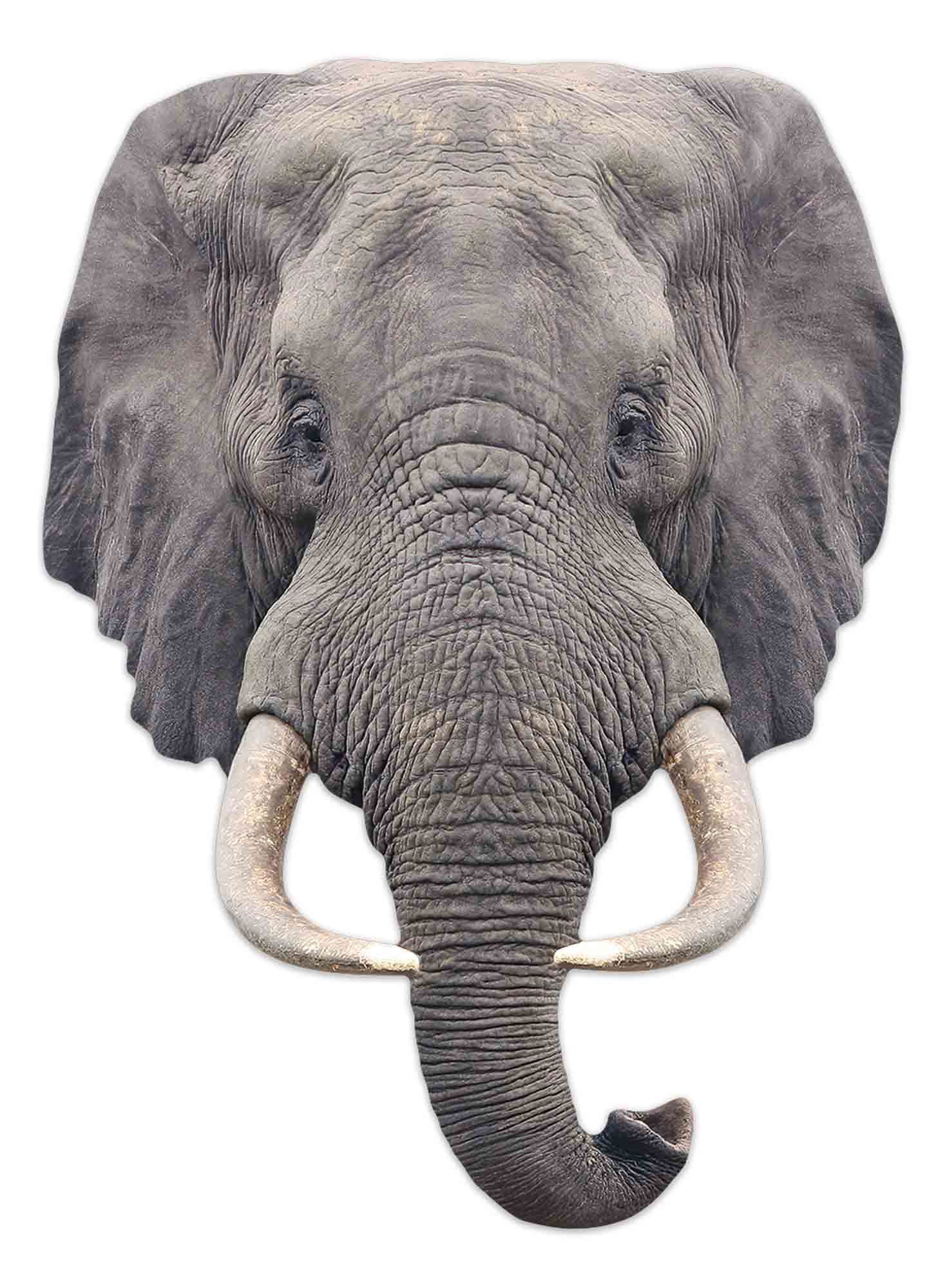 Verkleidungsmaske Tier Maske - Маски - Elephant
