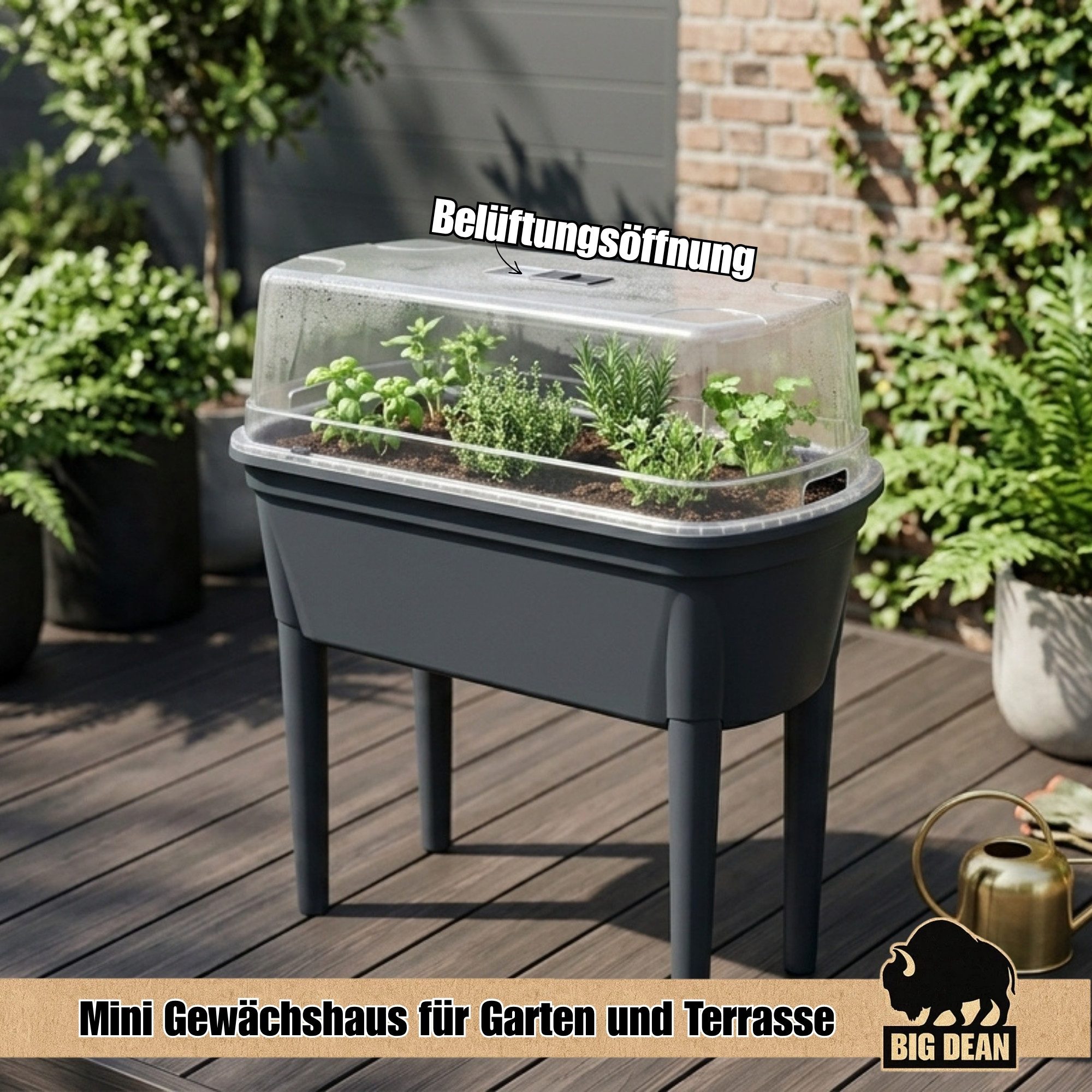 BigDean Frühbeet mit abnehmbaren Beinen und Deckel - Frühbeet für Garten und Balkon (Set, 1 St., Hochbeet + Frühbeetaufsatz), für kleine Balkone, Terrassen und Gärten