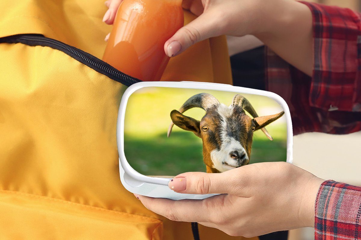 und Mädchen Tiere Ziege für - weiß Brotbox Kinder für - MuchoWow Kunststoff, Horn, Lunchbox Zaun (2-tlg), und - Erwachsene, Jungs Brotdose,