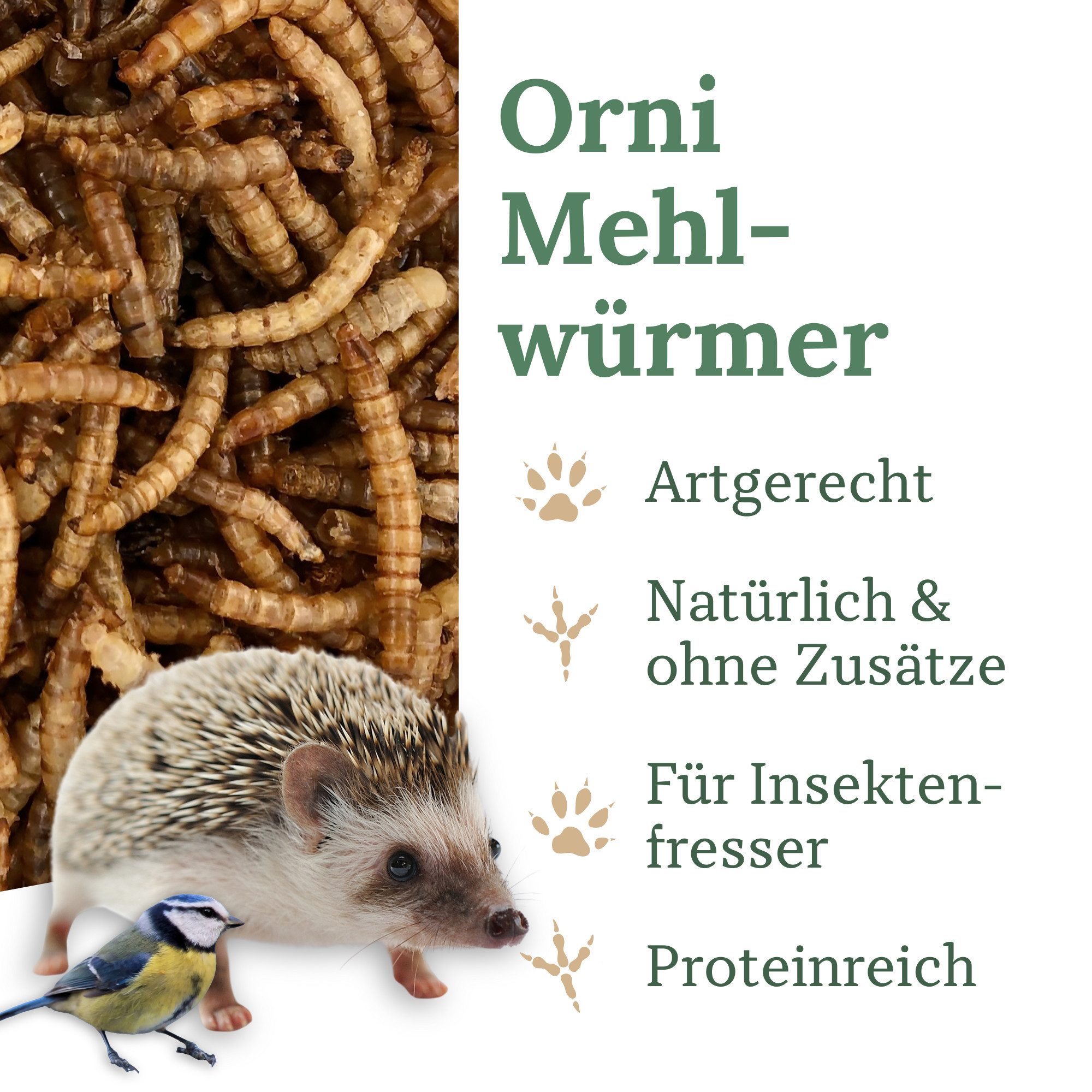 Orni Mehlwürmer getrocknet - Insektenfutter ohne künstliche Zusatzstoffe, Ergänzungsfutter für: Nutz-/ Wildtier
