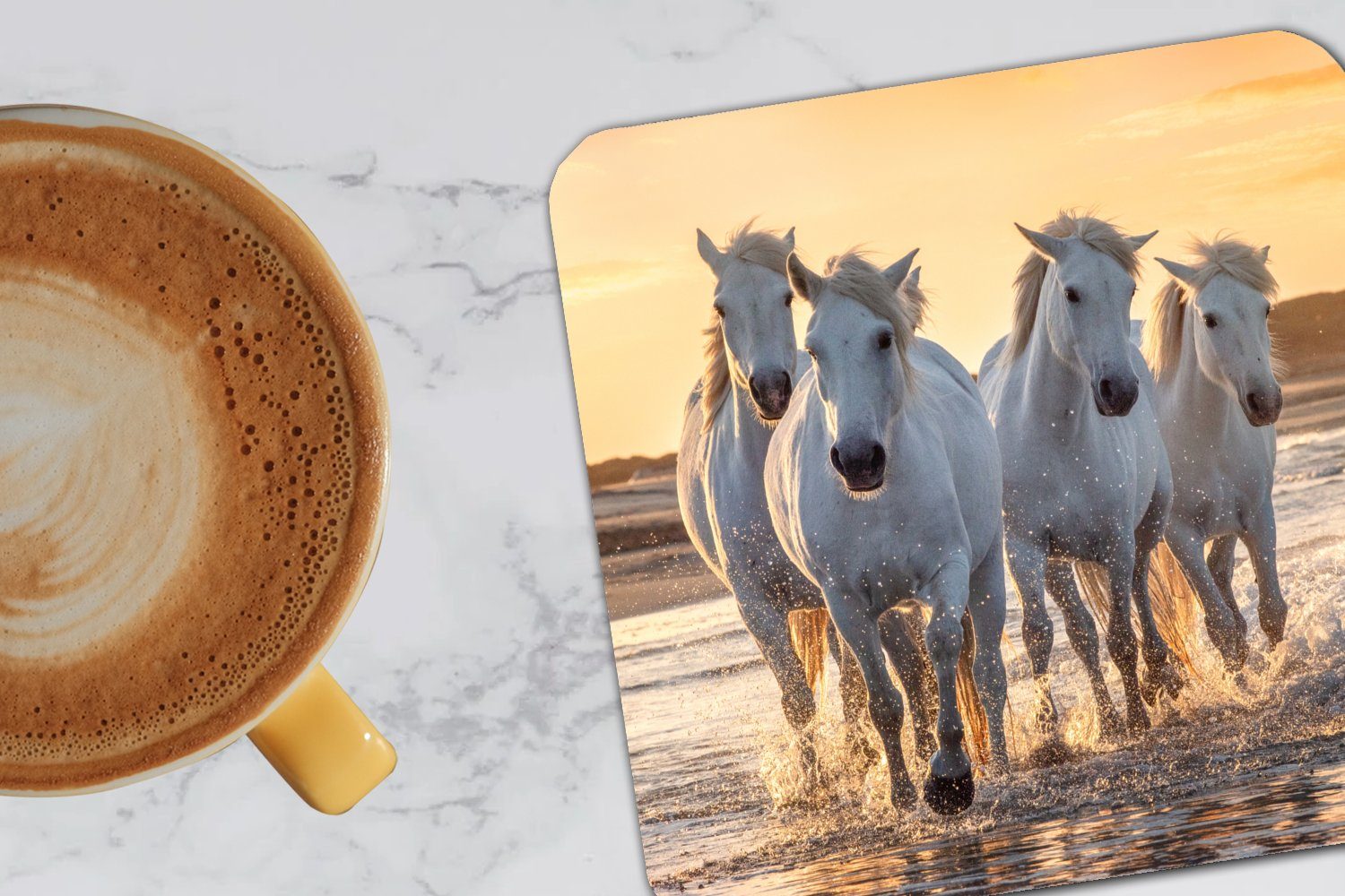 MuchoWow Glasuntersetzer Pferde Wasser - Korkuntersetzer, Tasse Glasuntersetzer, Zubehör - - Tischuntersetzer, für Untersetzer, Strand 6-tlg., Gläser, Tiere