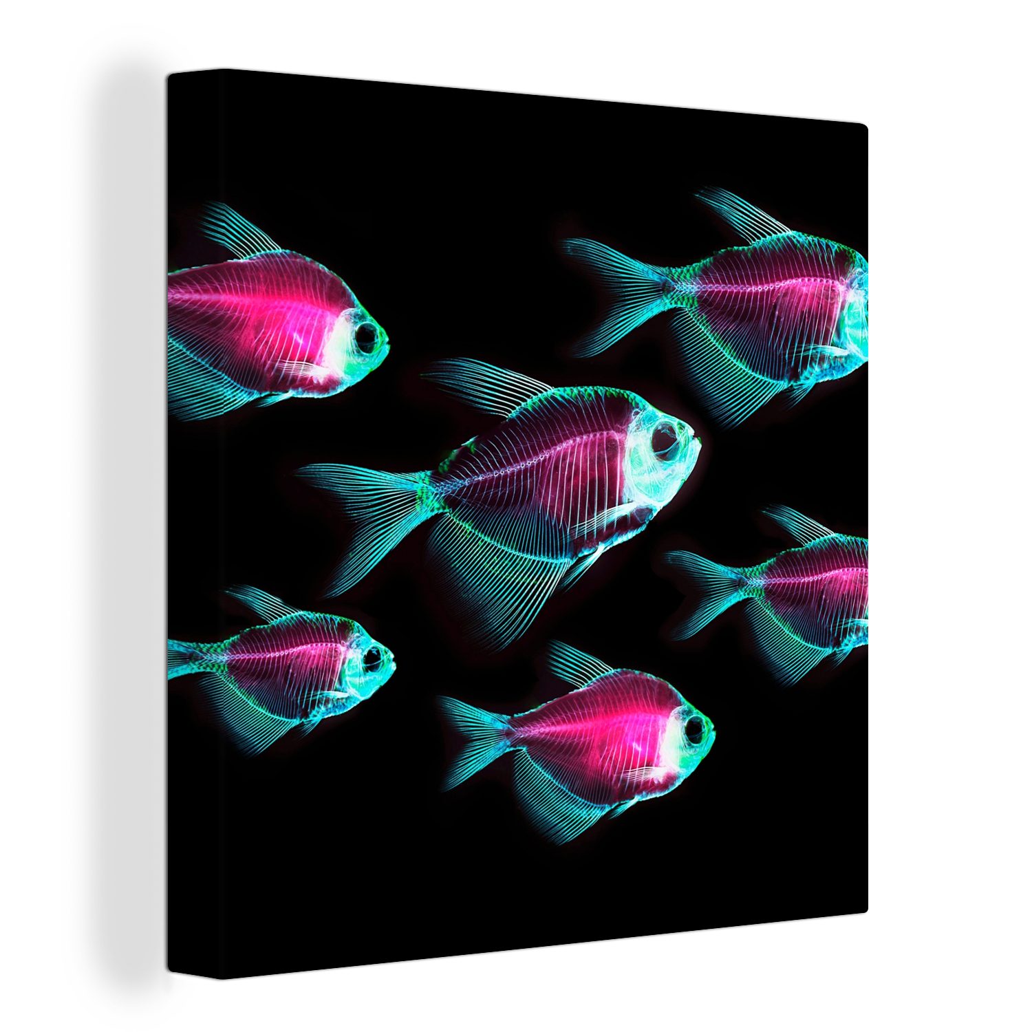 OneMillionCanvasses® Leinwandbild Fisch für bunt Blau, - St), Schlafzimmer Wohnzimmer Lila Leinwand - (1 Bilder