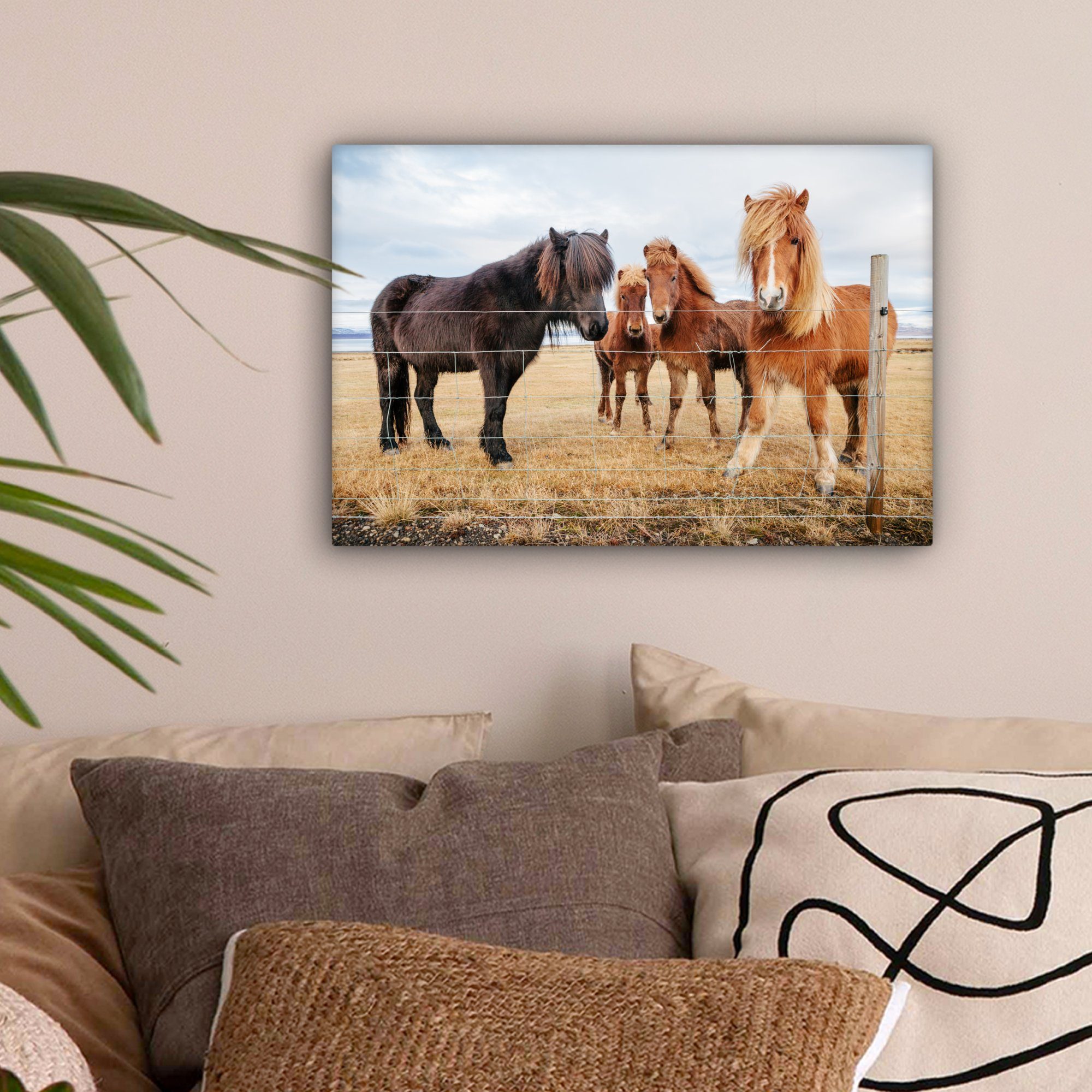 Leinwandbild hinter Zaun, St), 30x20 Wandbild Isländische OneMillionCanvasses® Leinwandbilder, Wanddeko, Ponys cm einem (1 Aufhängefertig,