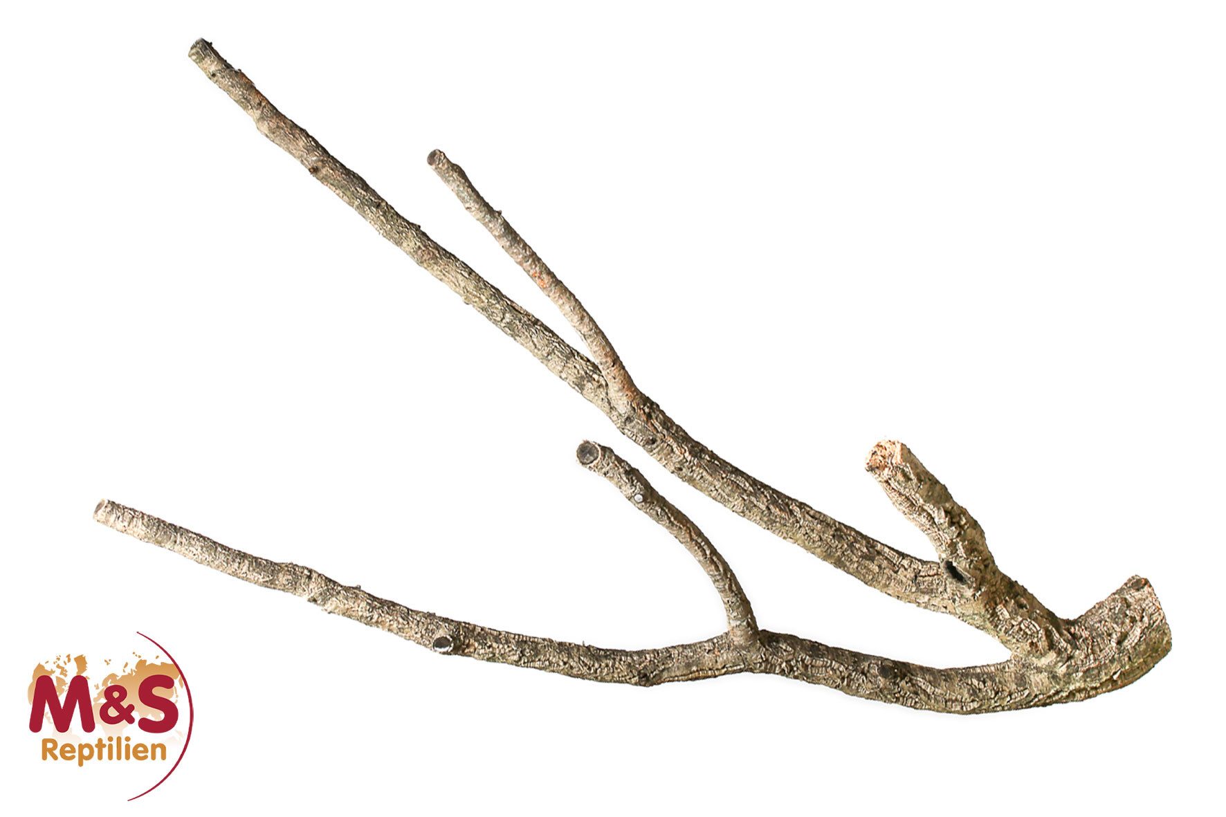 M&S Reptilien Terrariendeko Zierkork Tronchos verzweigt- SMALL- ca.50-70 cm