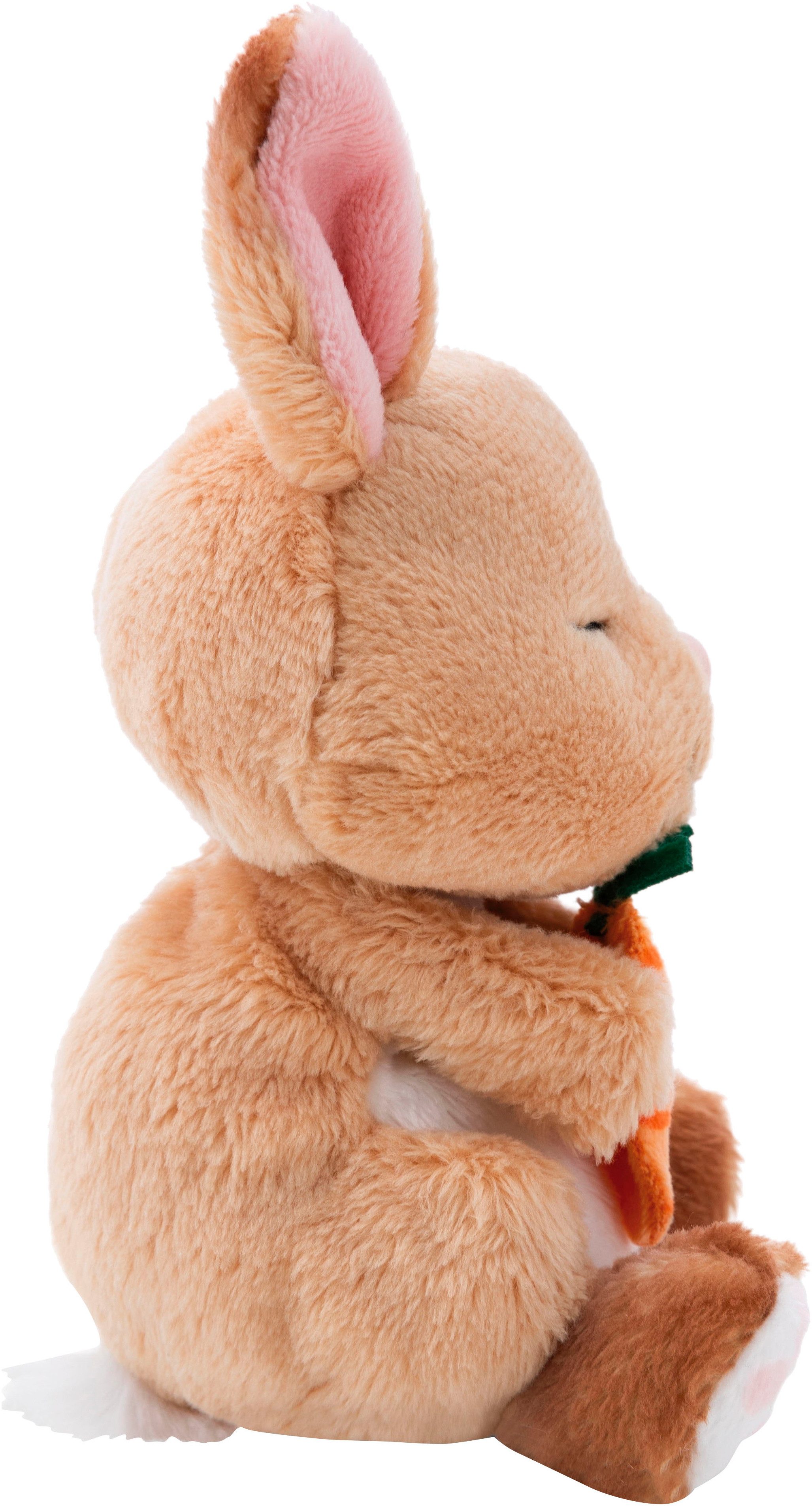 Nici Kuscheltier Sleeping Pets GREEN, Hase 12 cm, schlafend im Körbchen