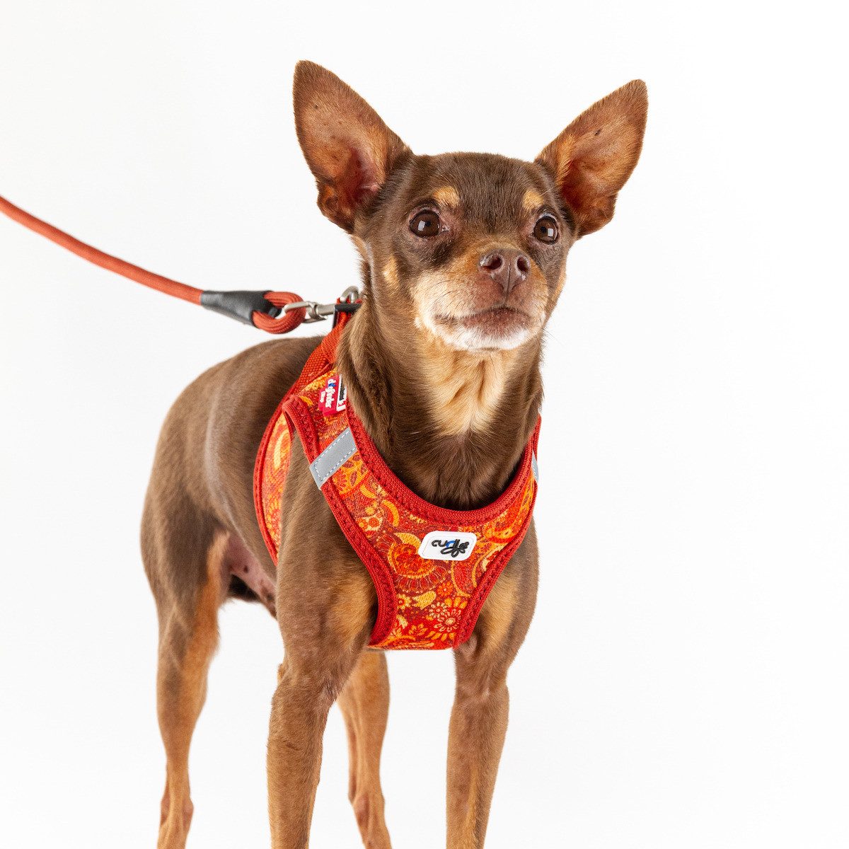 Curli Hundeleine Stretch Comfort Leine 2021 Ruby